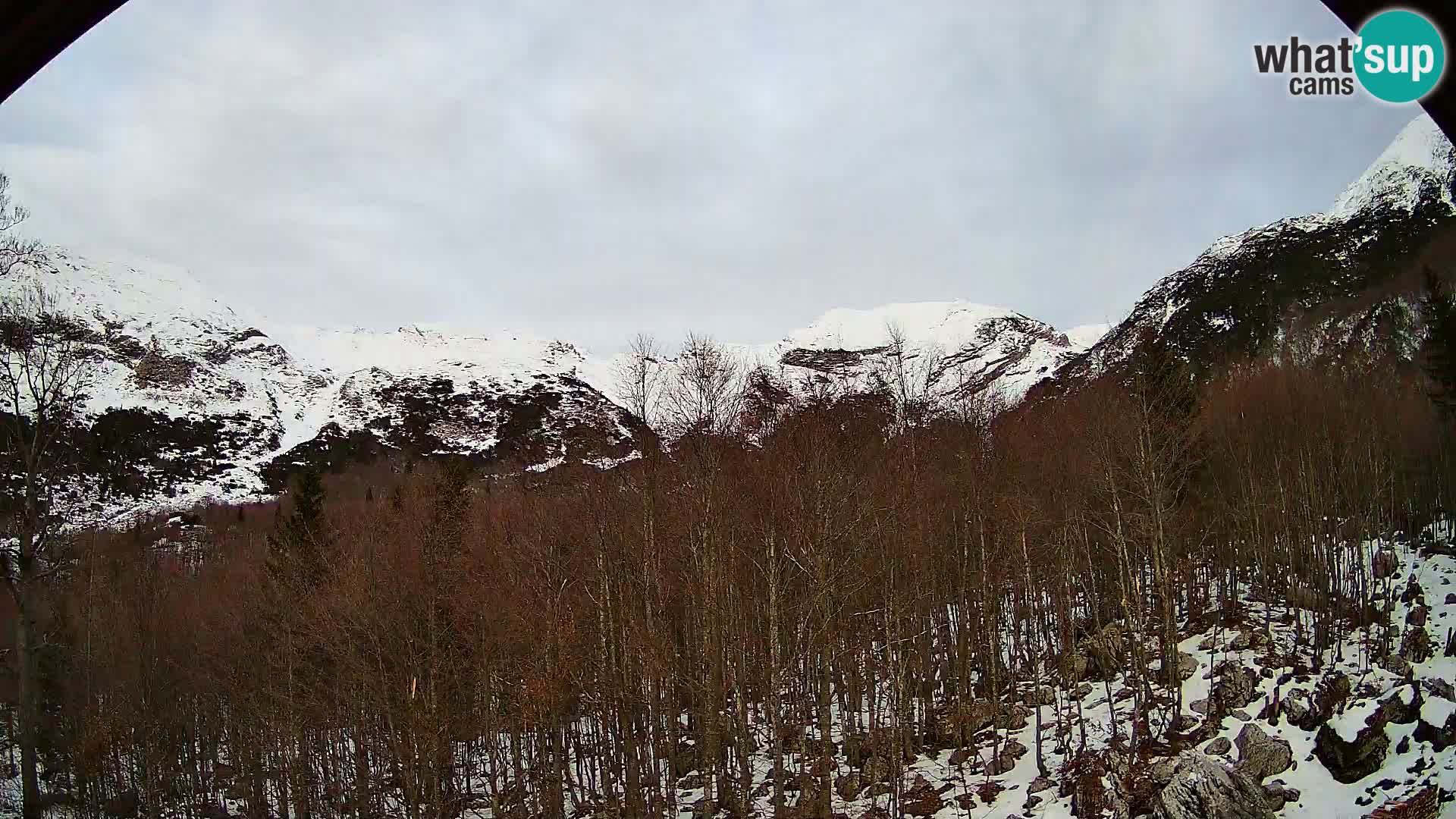 PLANINA RAZOR Live Cam (1315) | vista su Vogel e Globoko
