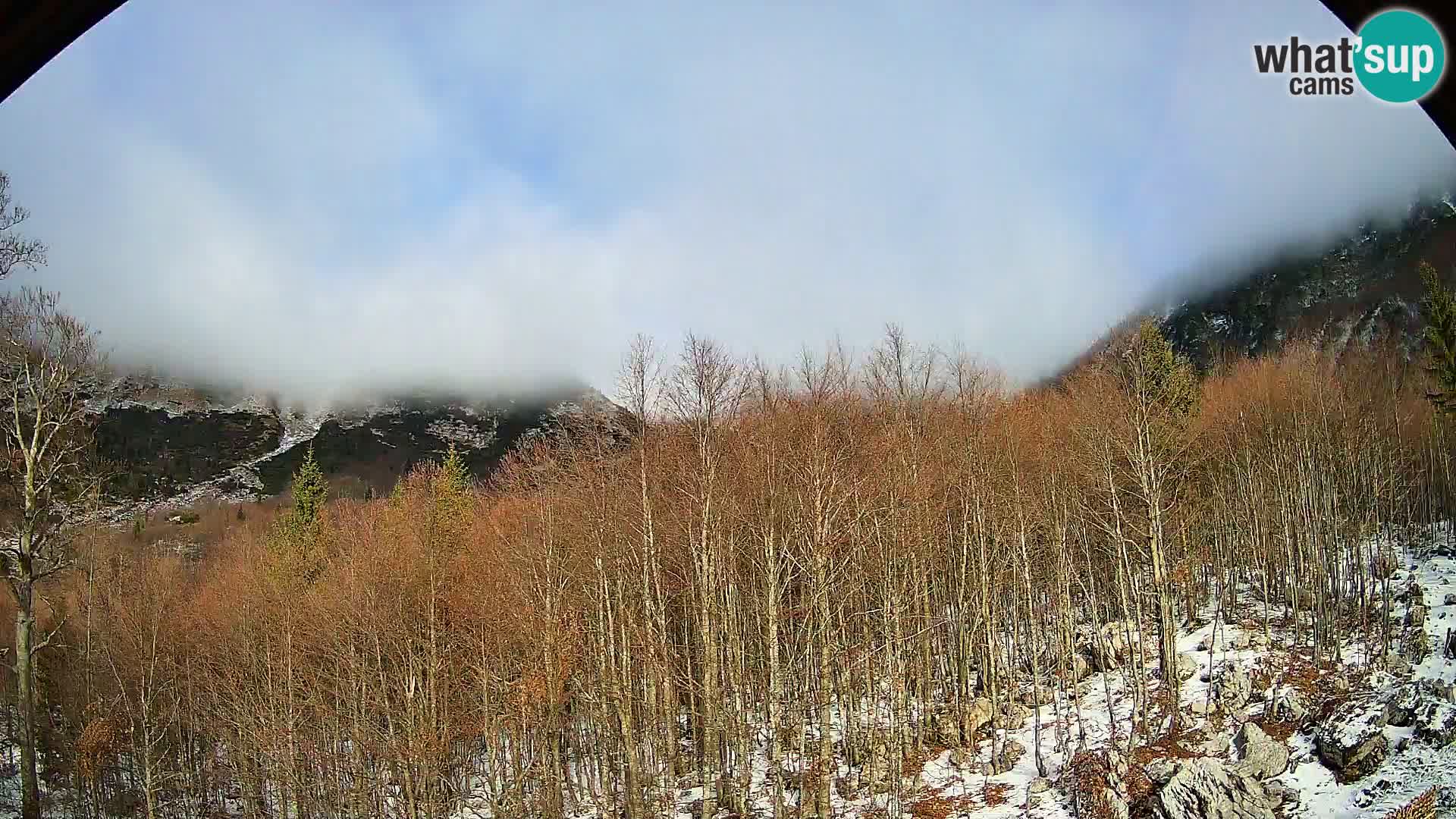 PLANINA RAZOR web kamera (1315) | pogled na Vogel i Globoko