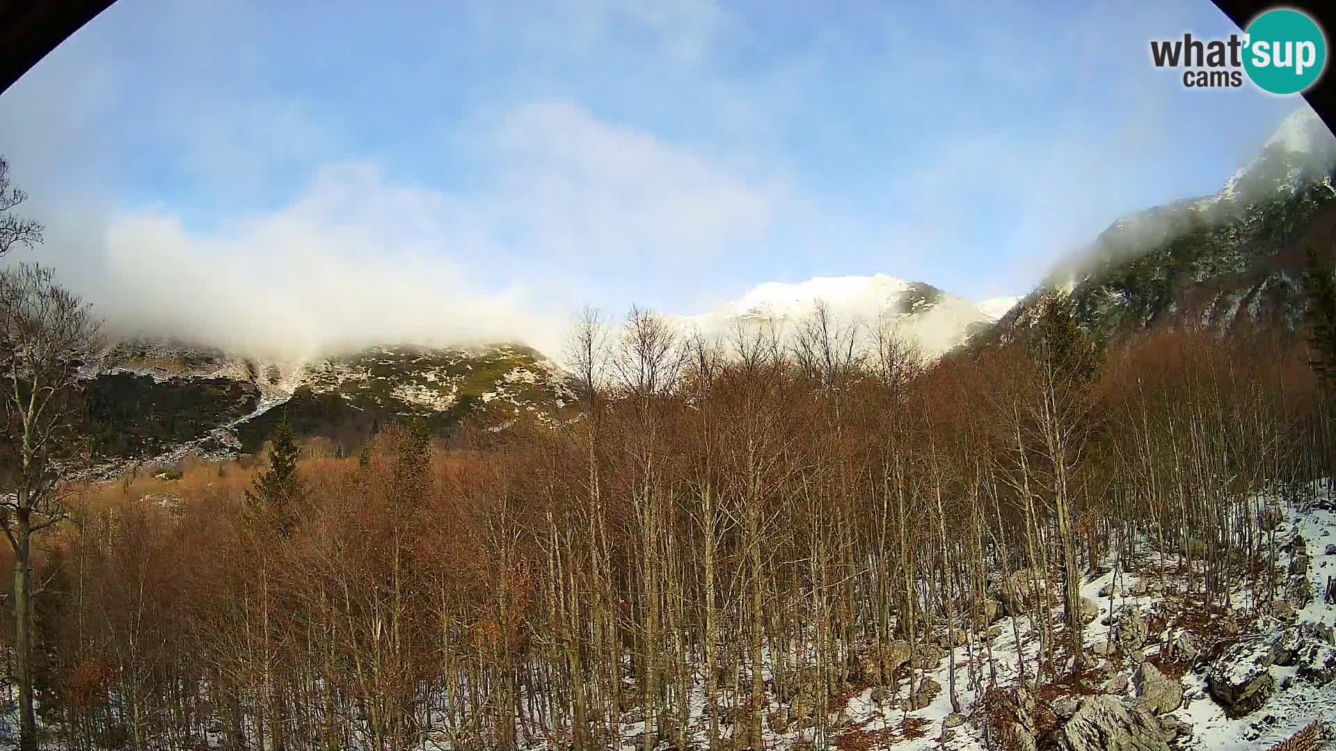 Livecam PLANINA RAZOR (1315) | vue sur Vogel et Globoko