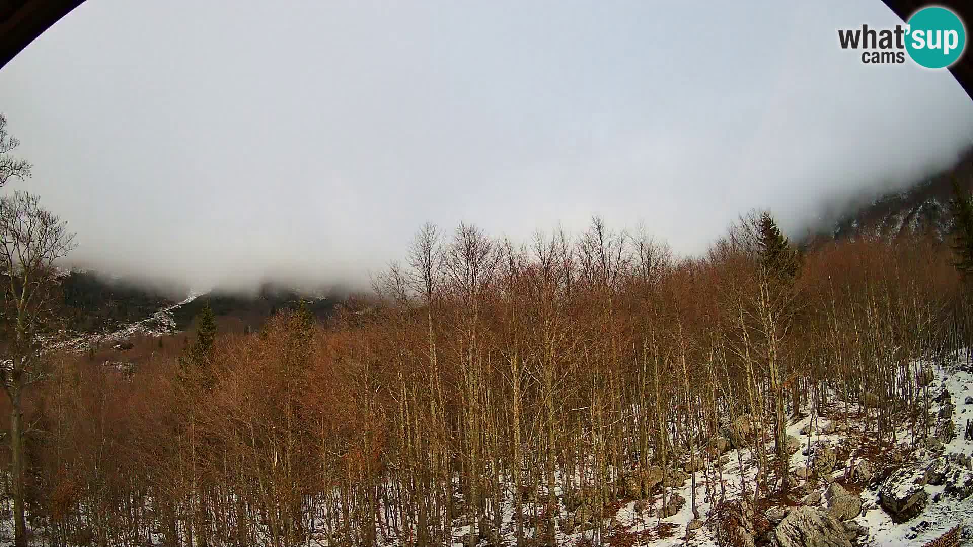 Webcam PLANINA RAZOR (1315) | Blick auf Vogel und Globoko