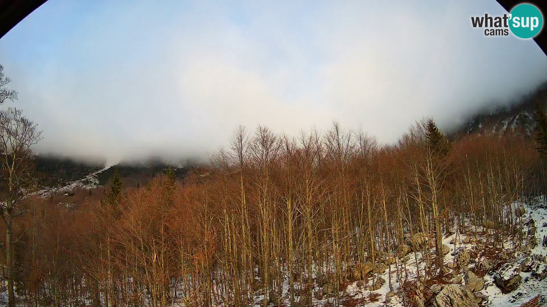 PLANINA RAZOR webcam (1315) | view to Vogel and Globoko