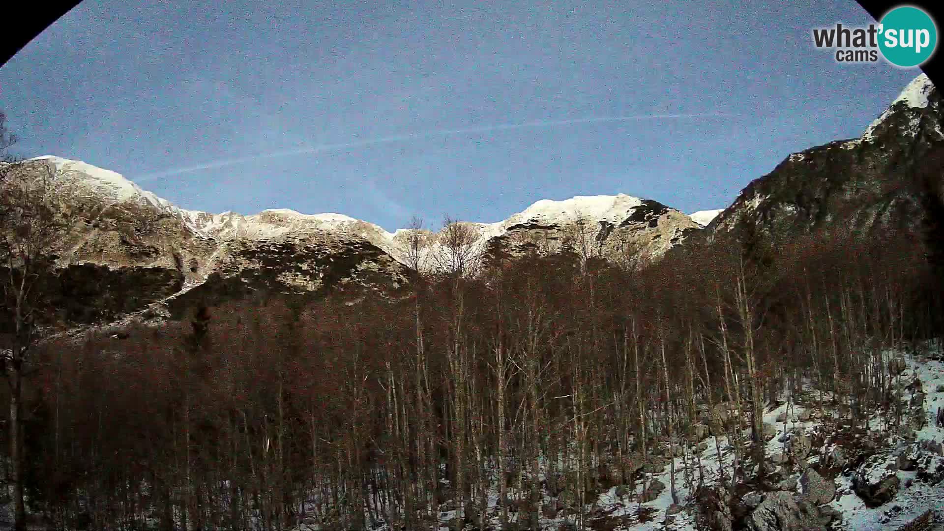 PLANINA RAZOR Live Cam (1315) | vista su Vogel e Globoko