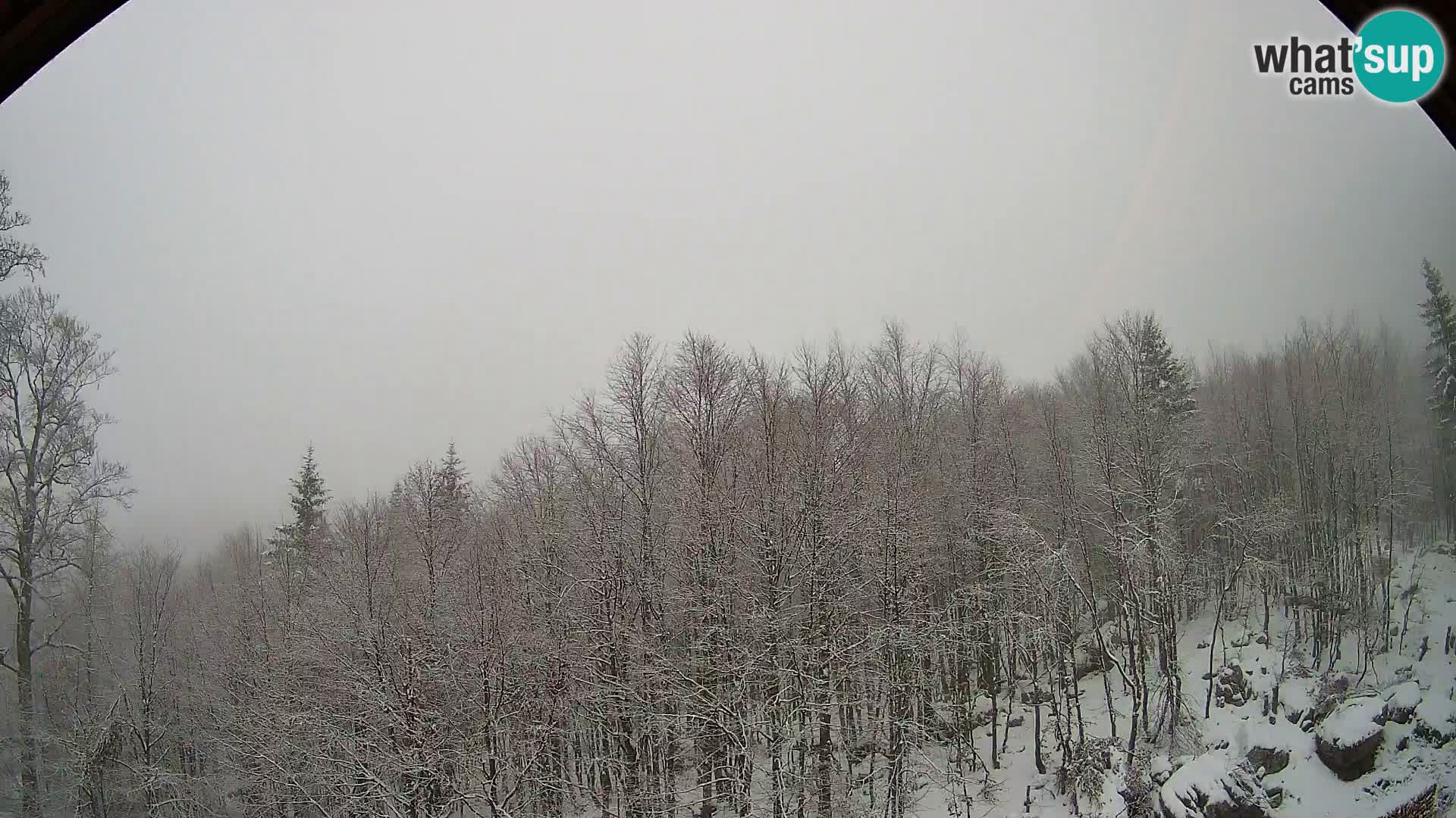 Cámara web PLANINA RAZOR (1315) | vista a Vogel y Globoko