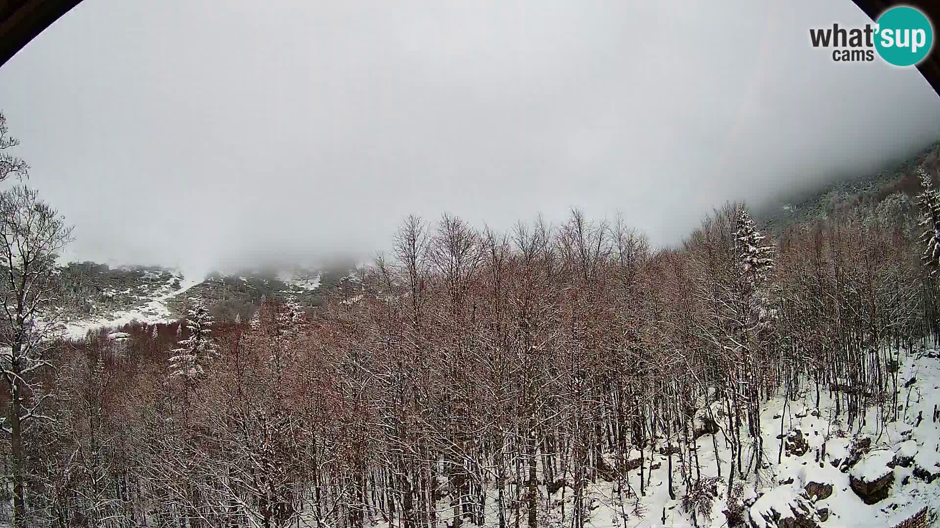 Cámara web PLANINA RAZOR (1315) | vista a Vogel y Globoko