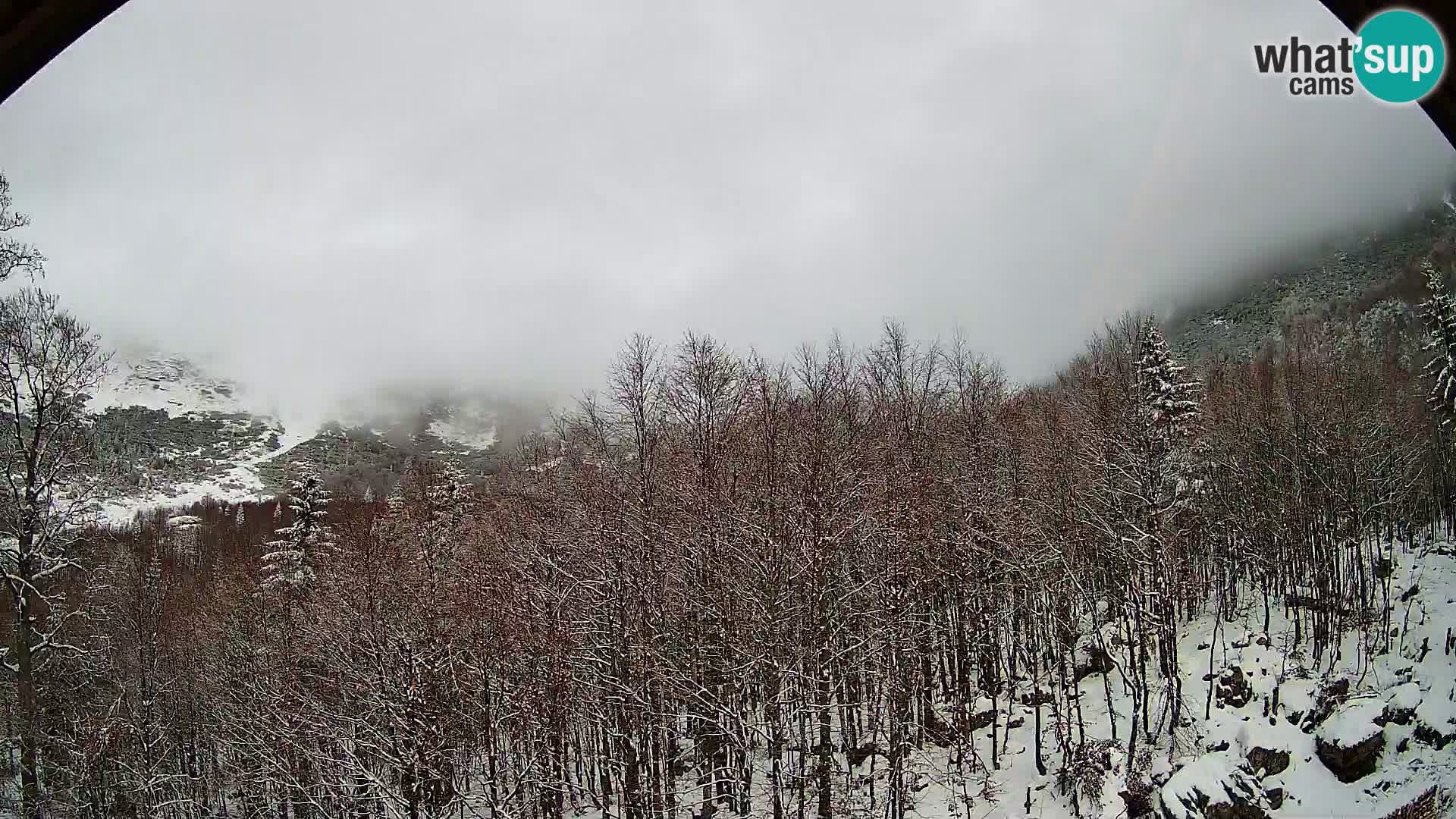 PLANINA RAZOR webcam (1315) | view to Vogel and Globoko