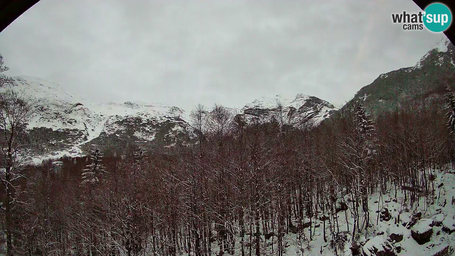 PLANINA RAZOR webcam (1315) | view to Vogel and Globoko