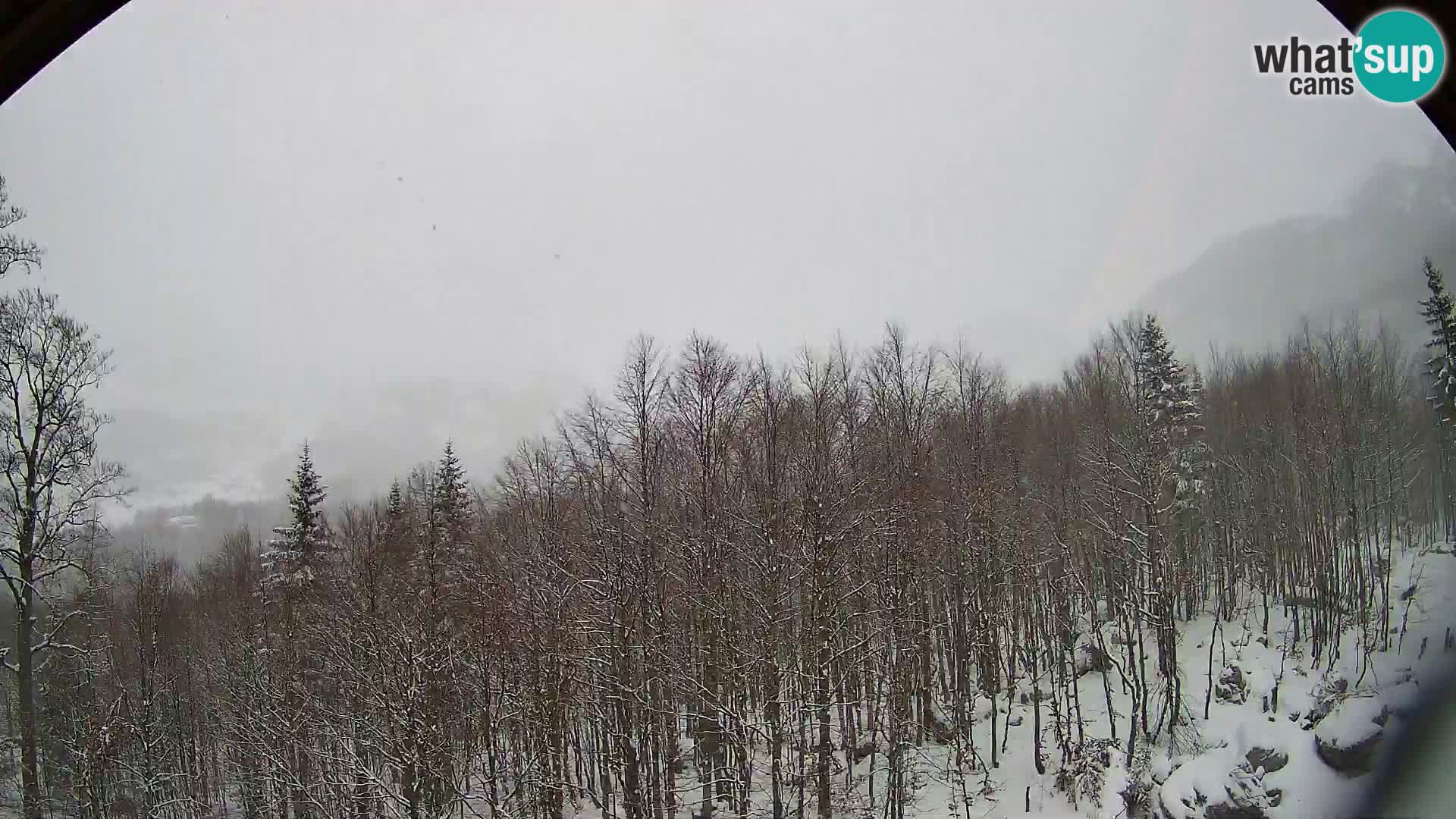 PLANINA RAZOR web kamera (1315) | pogled na Vogel i Globoko
