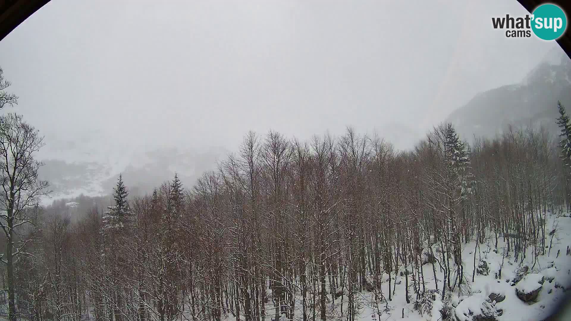PLANINA RAZOR kamera (1315) | pogled na Vogel in Globoko