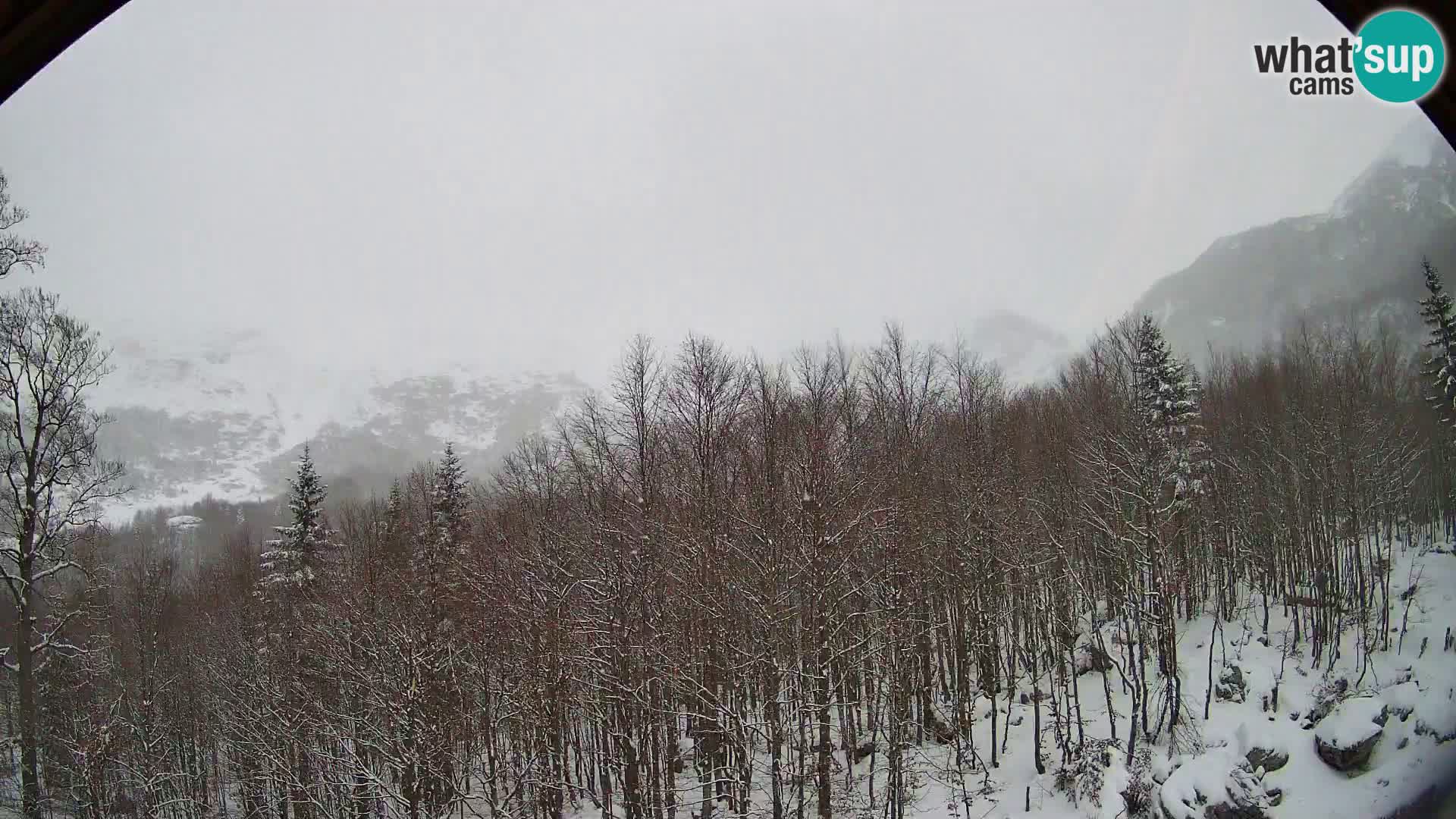 PLANINA RAZOR kamera (1315) | pogled na Vogel in Globoko