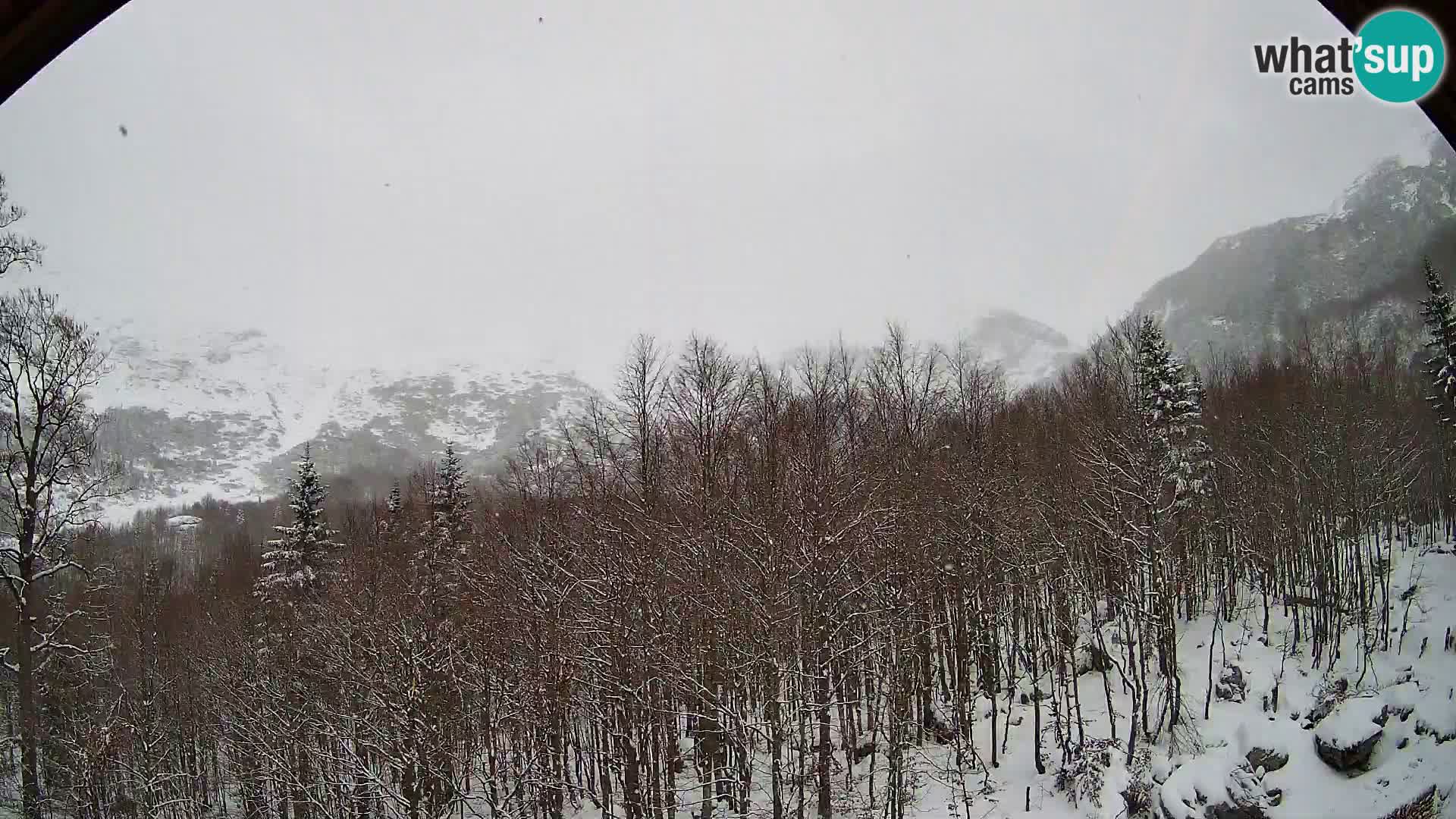 Cámara web PLANINA RAZOR (1315) | vista a Vogel y Globoko