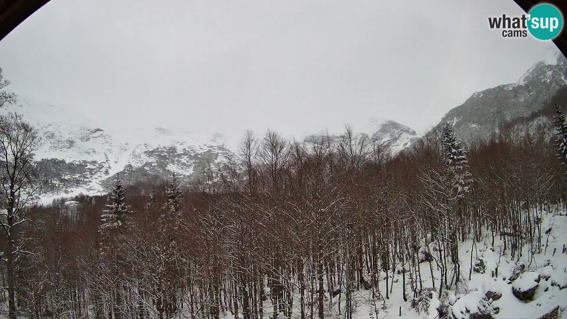 PLANINA RAZOR web kamera (1315) | pogled na Vogel i Globoko