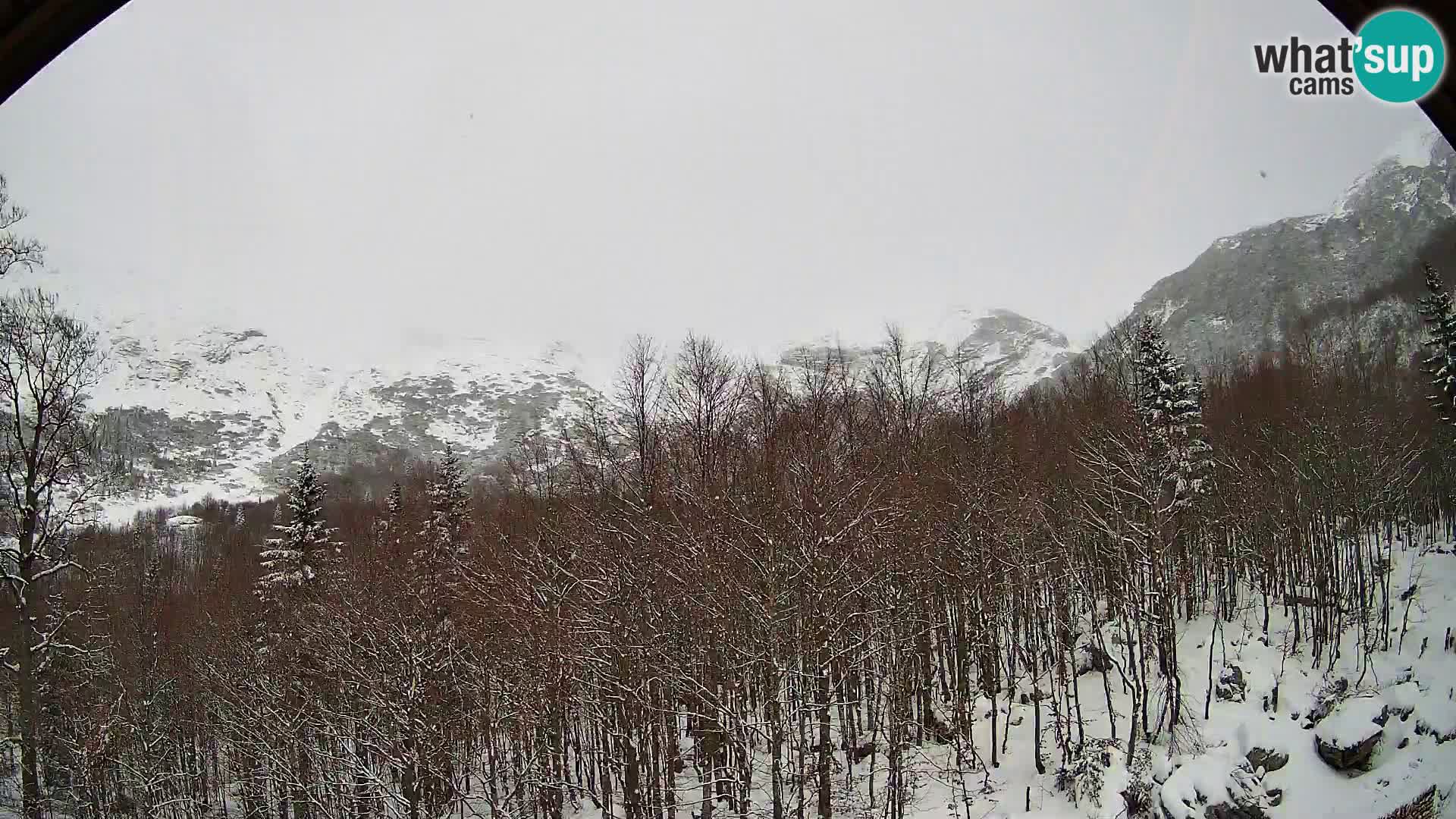 PLANINA RAZOR webcam (1315) | view to Vogel and Globoko