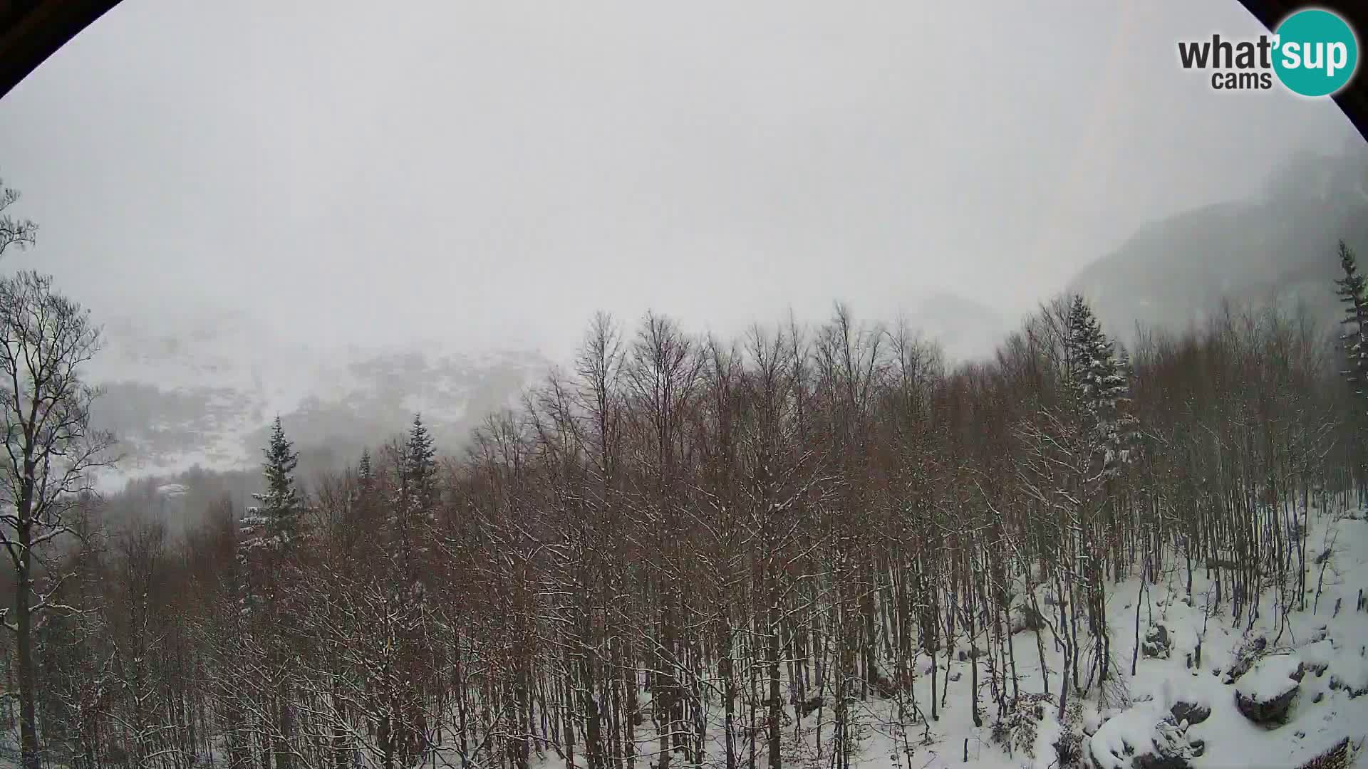 PLANINA RAZOR Live Cam (1315) | vista su Vogel e Globoko