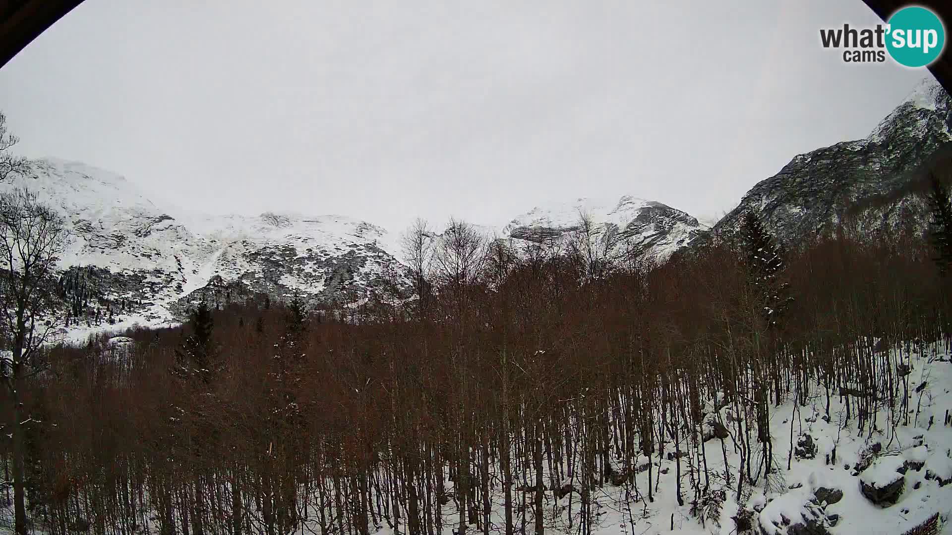 PLANINA RAZOR webcam (1315) | view to Vogel and Globoko