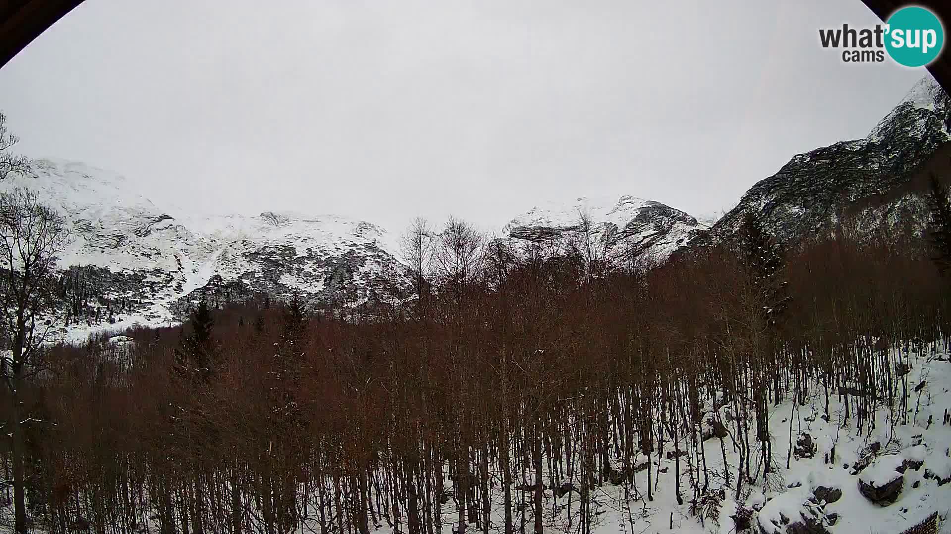 PLANINA RAZOR Live Cam (1315) | vista su Vogel e Globoko