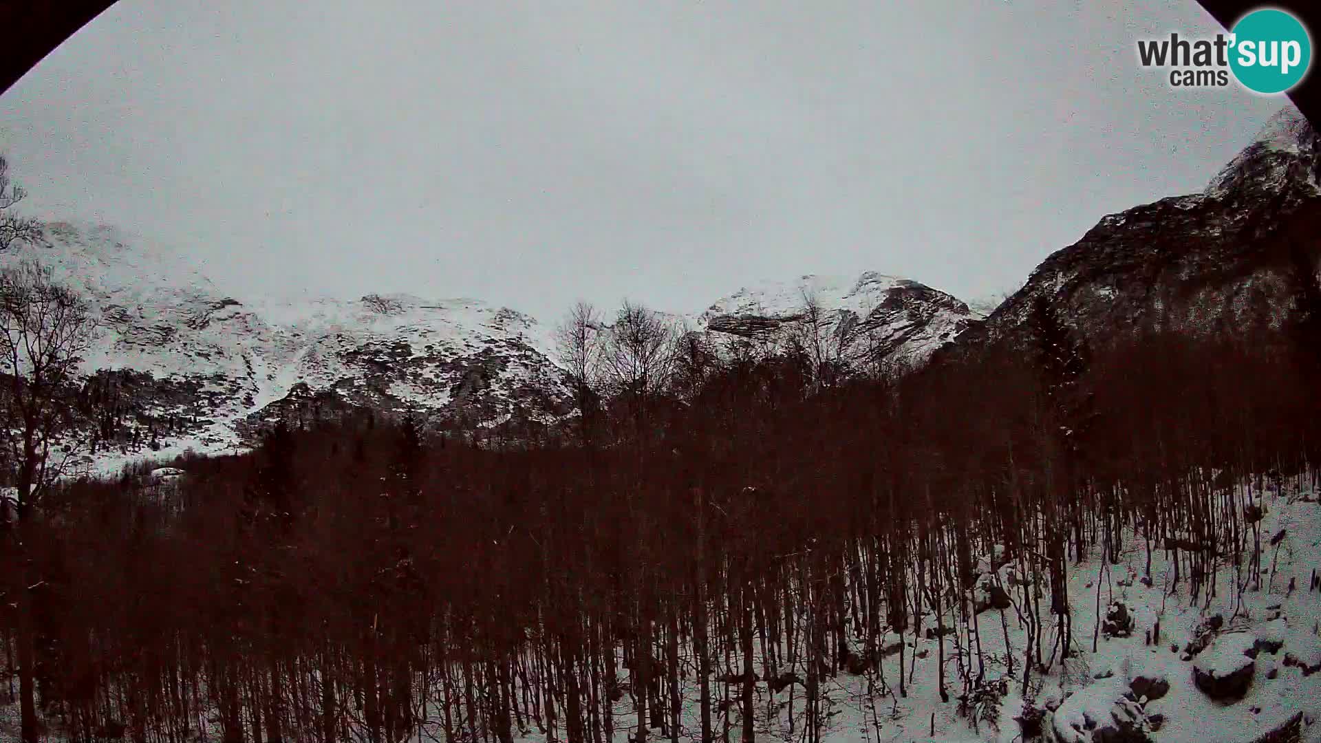 PLANINA RAZOR kamera (1315) | pogled na Vogel in Globoko