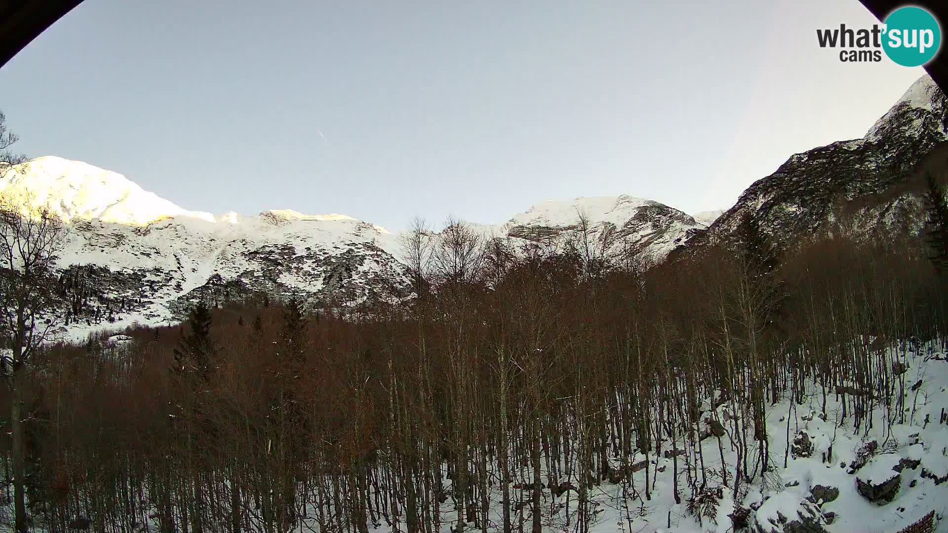 Webcam PLANINA RAZOR (1315) | Blick auf Vogel und Globoko