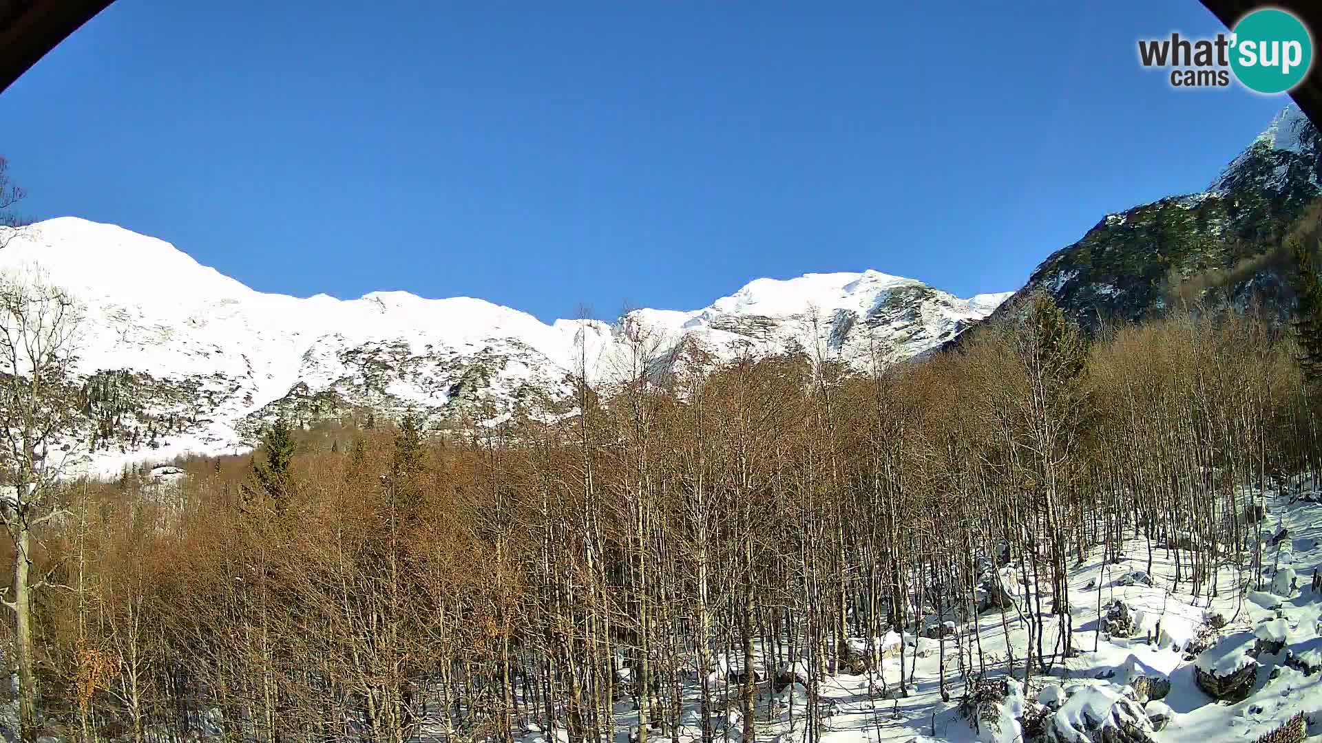 PLANINA RAZOR web kamera (1315) | pogled na Vogel i Globoko