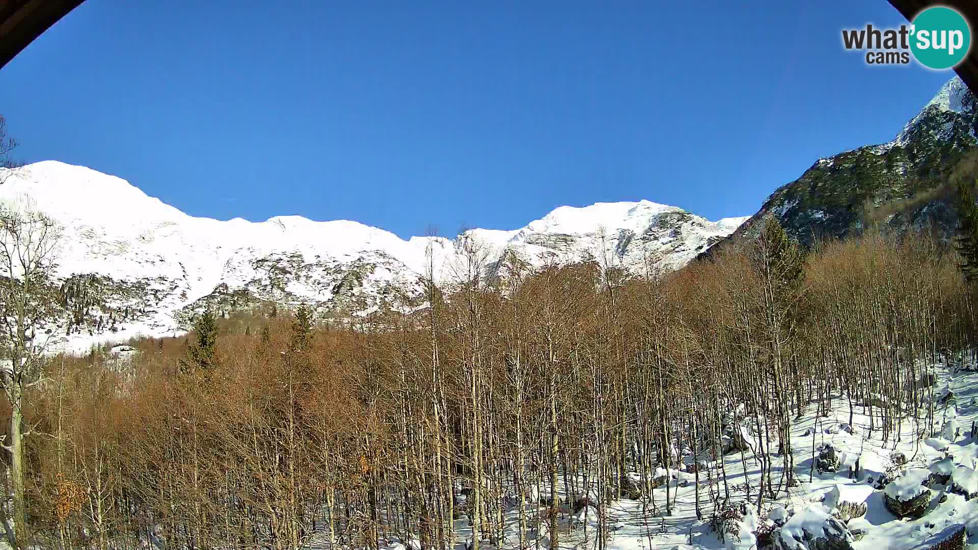 PLANINA RAZOR web kamera (1315) | pogled na Vogel i Globoko