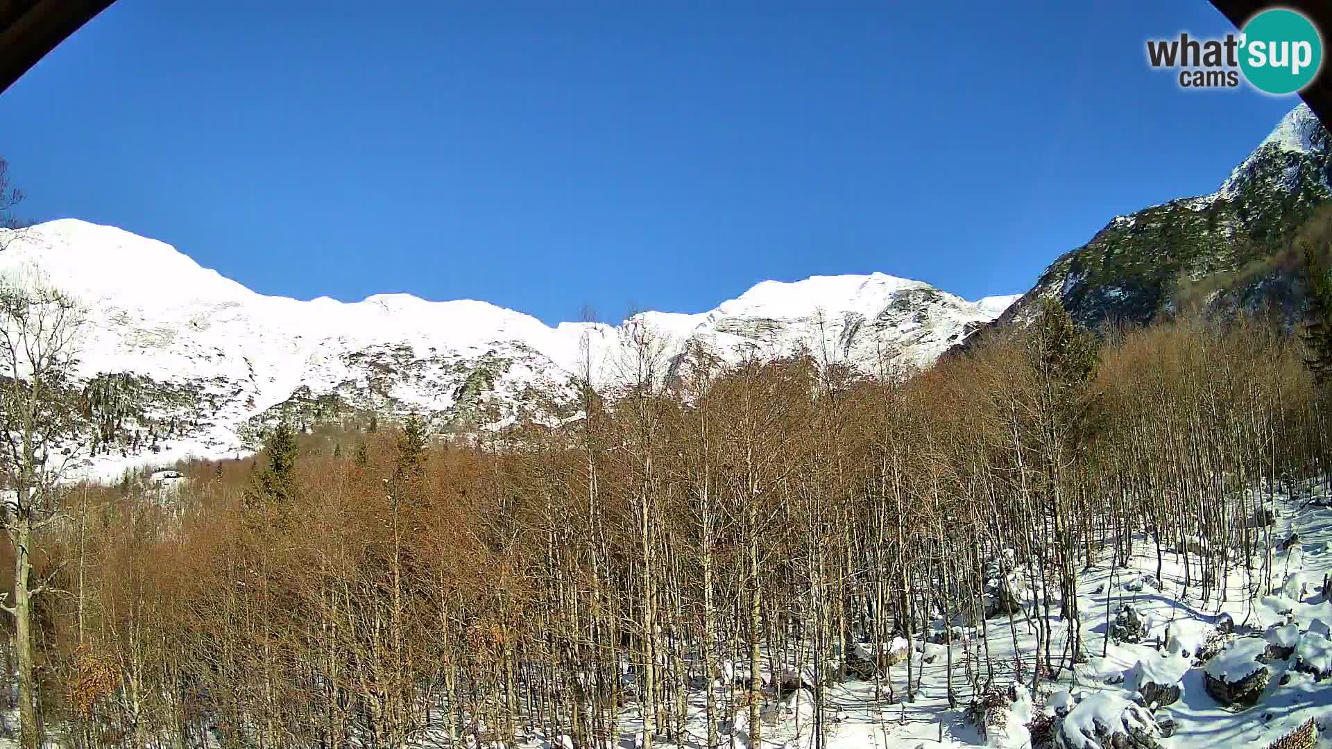 PLANINA RAZOR kamera (1315) | pogled na Vogel in Globoko
