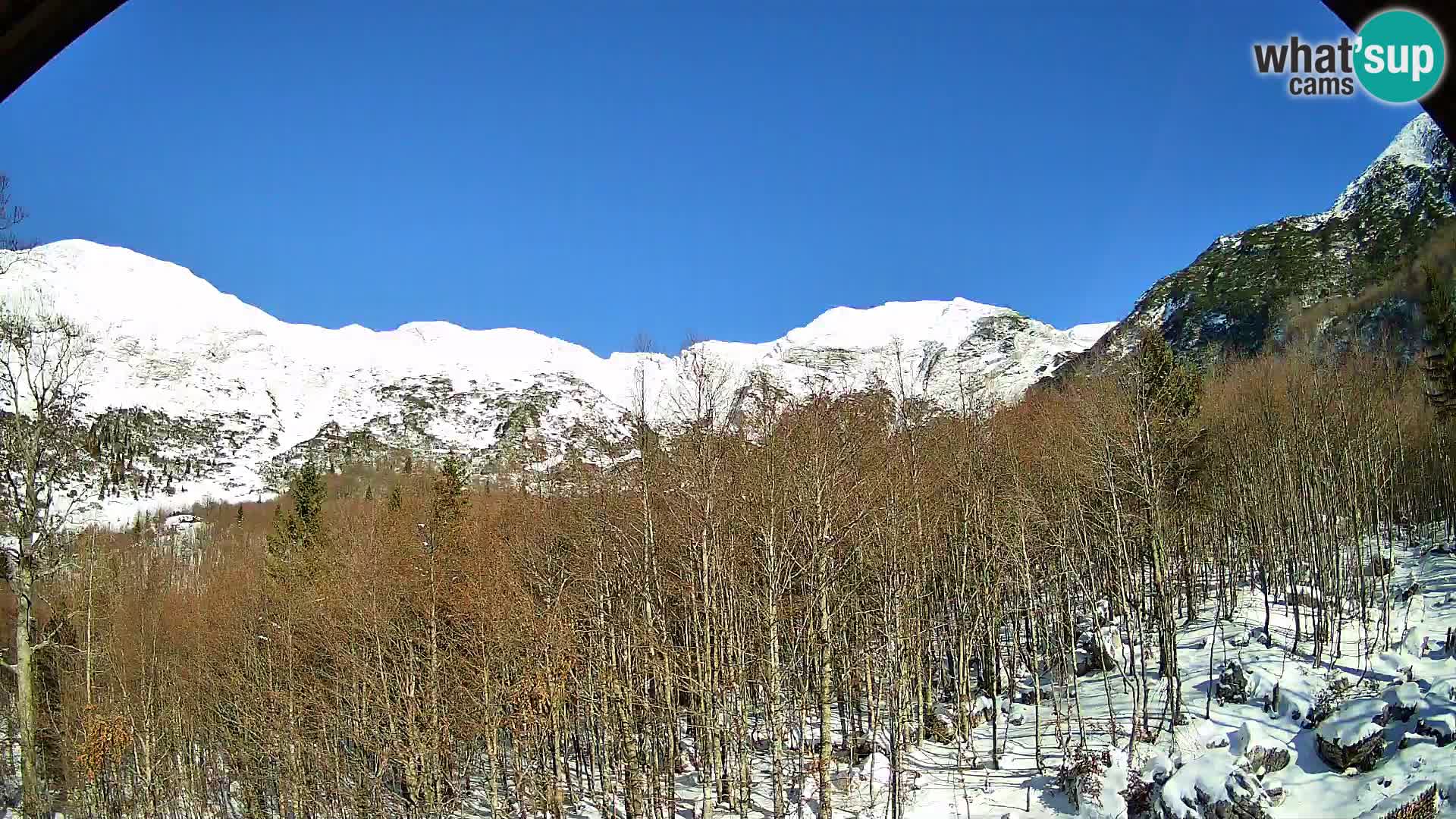 PLANINA RAZOR webcam (1315) | view to Vogel and Globoko