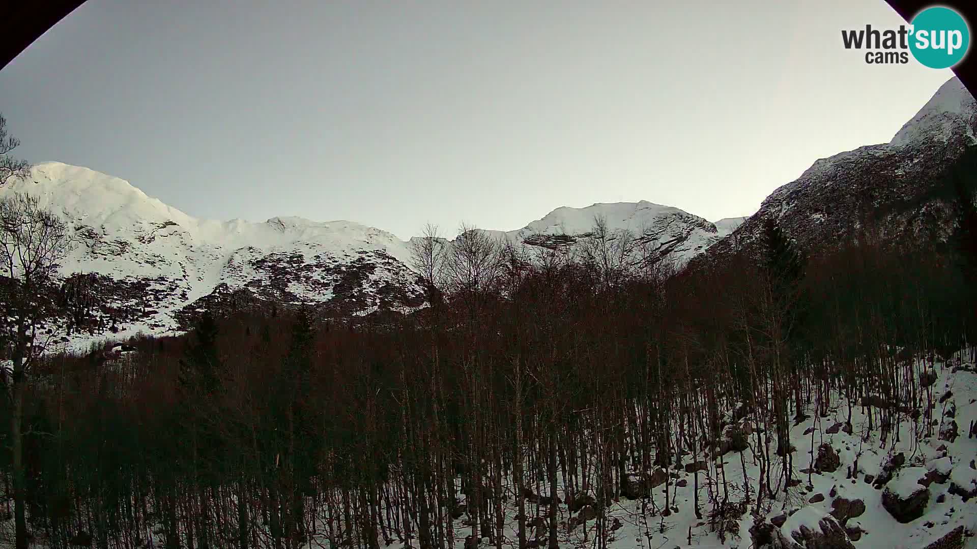 PLANINA RAZOR web kamera (1315) | pogled na Vogel i Globoko