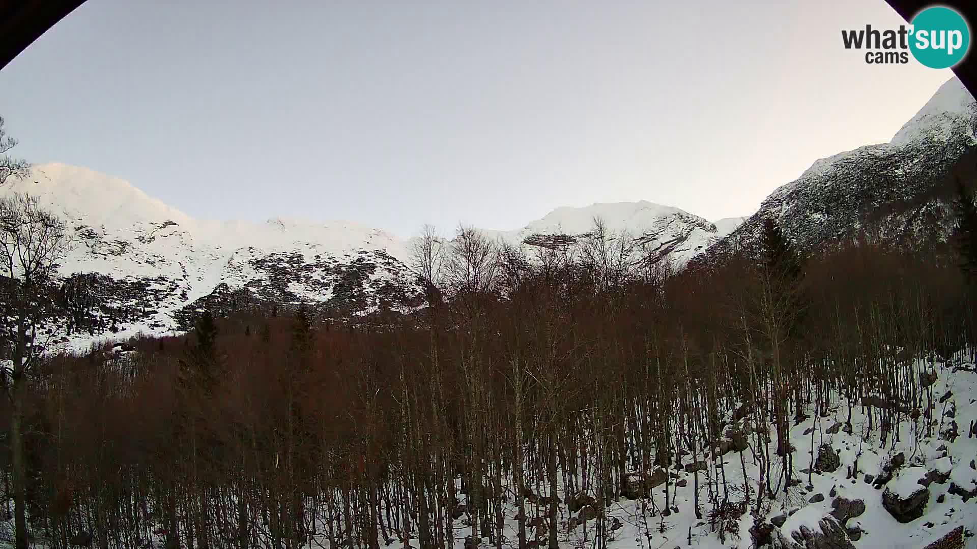 PLANINA RAZOR web kamera (1315) | pogled na Vogel i Globoko