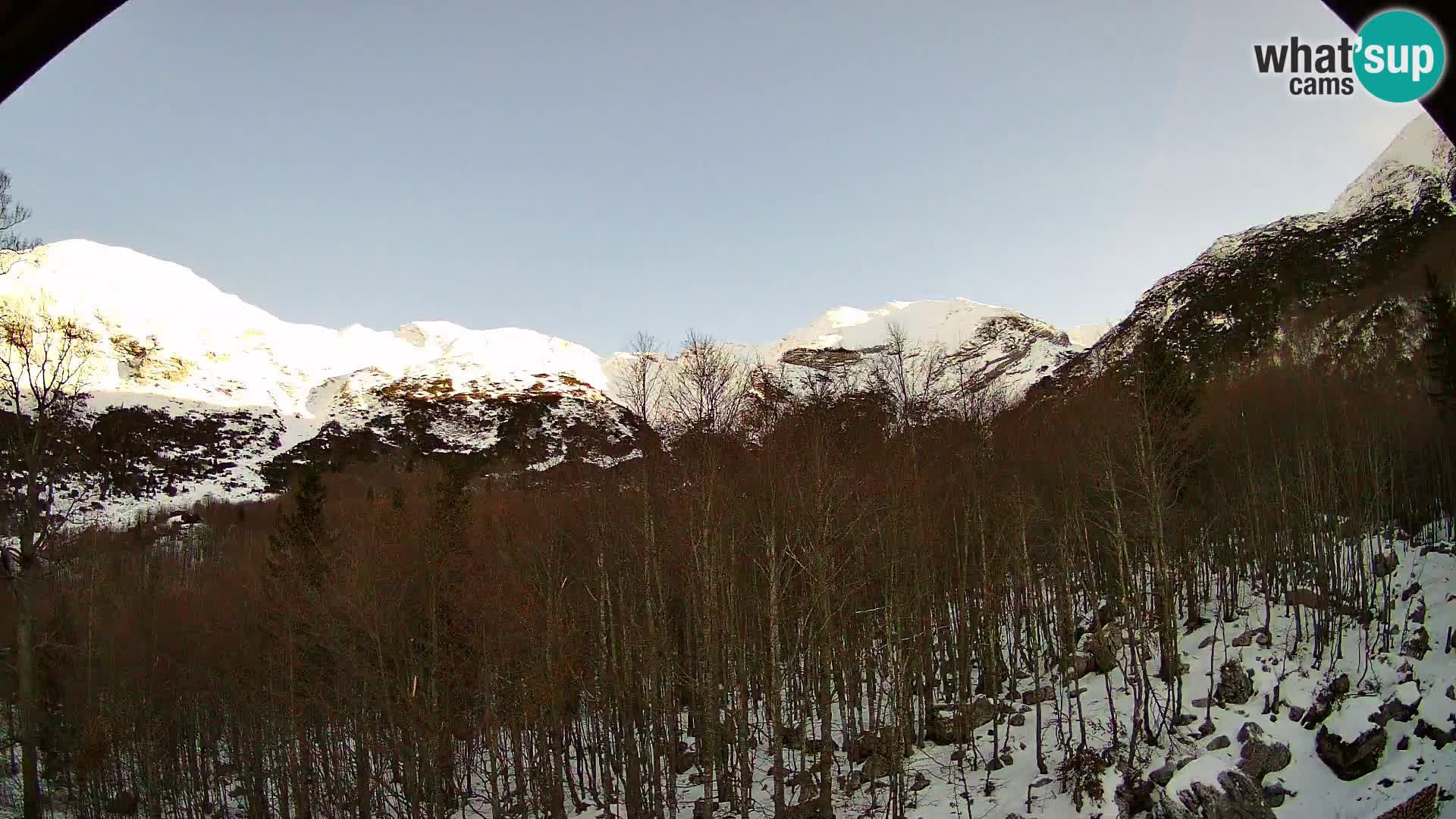 Cámara web PLANINA RAZOR (1315) | vista a Vogel y Globoko