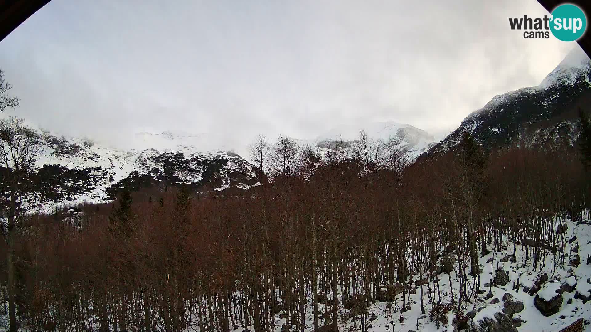 PLANINA RAZOR webcam (1315) | view to Vogel and Globoko