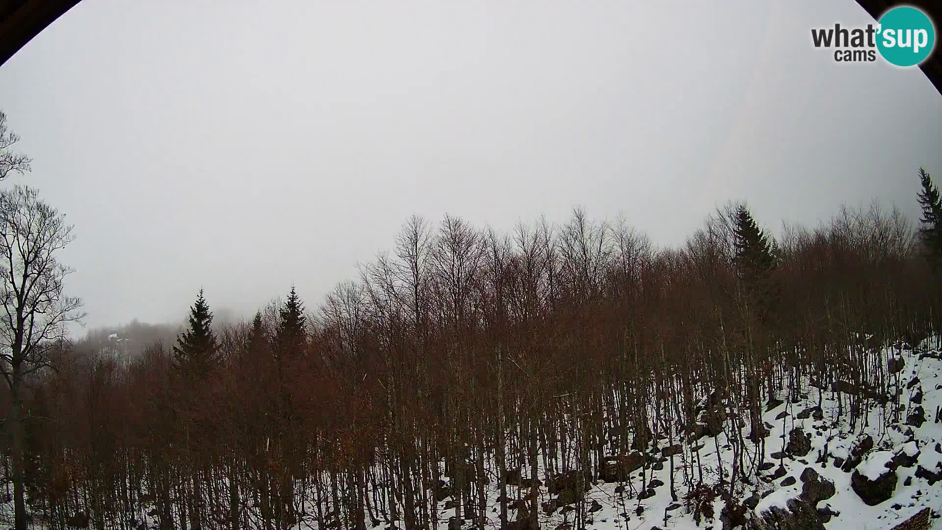 Cámara web PLANINA RAZOR (1315) | vista a Vogel y Globoko