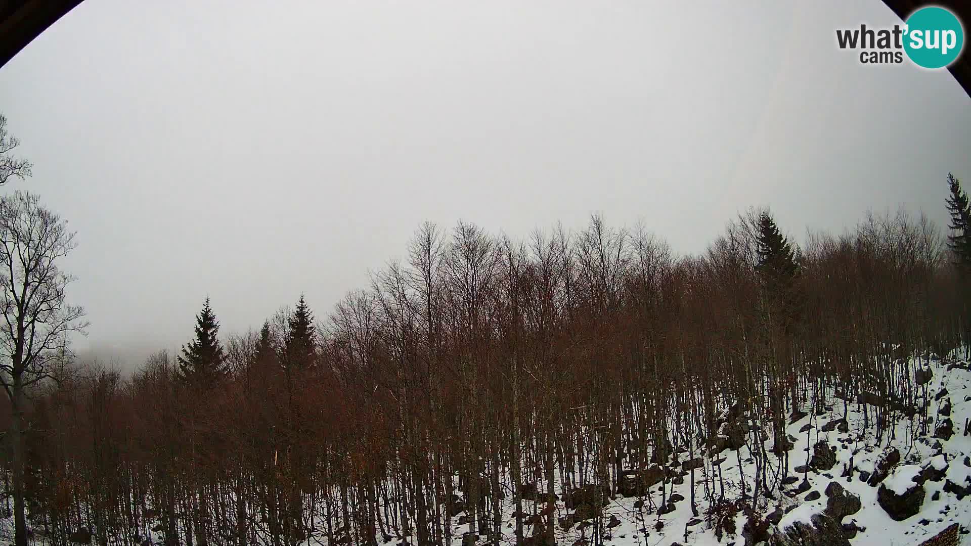 PLANINA RAZOR webcam (1315) | view to Vogel and Globoko