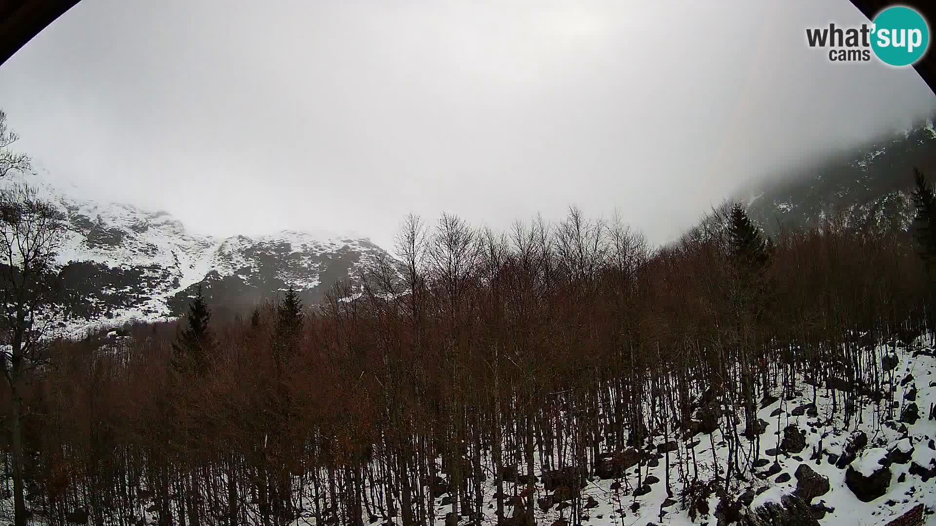 PLANINA RAZOR Live Cam (1315) | vista su Vogel e Globoko