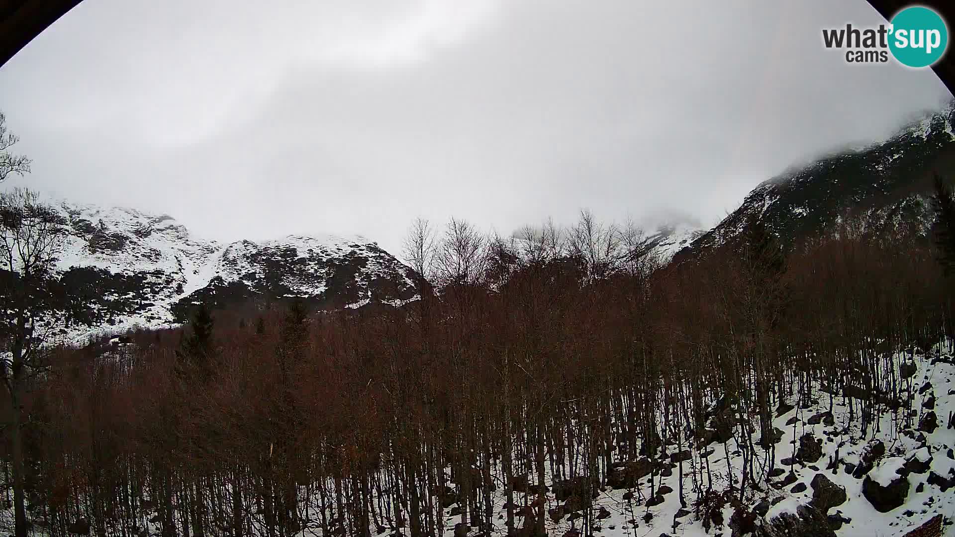 PLANINA RAZOR web kamera (1315) | pogled na Vogel i Globoko