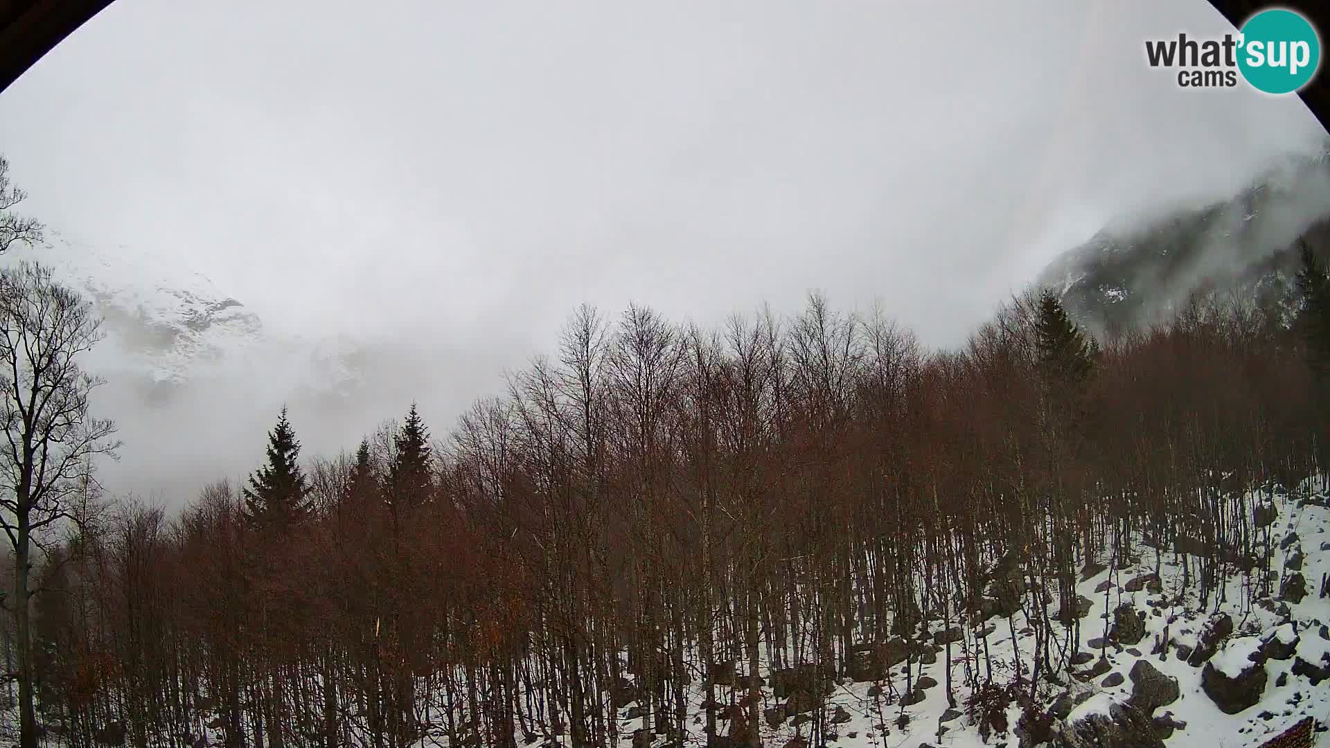 PLANINA RAZOR Live Cam (1315) | vista su Vogel e Globoko