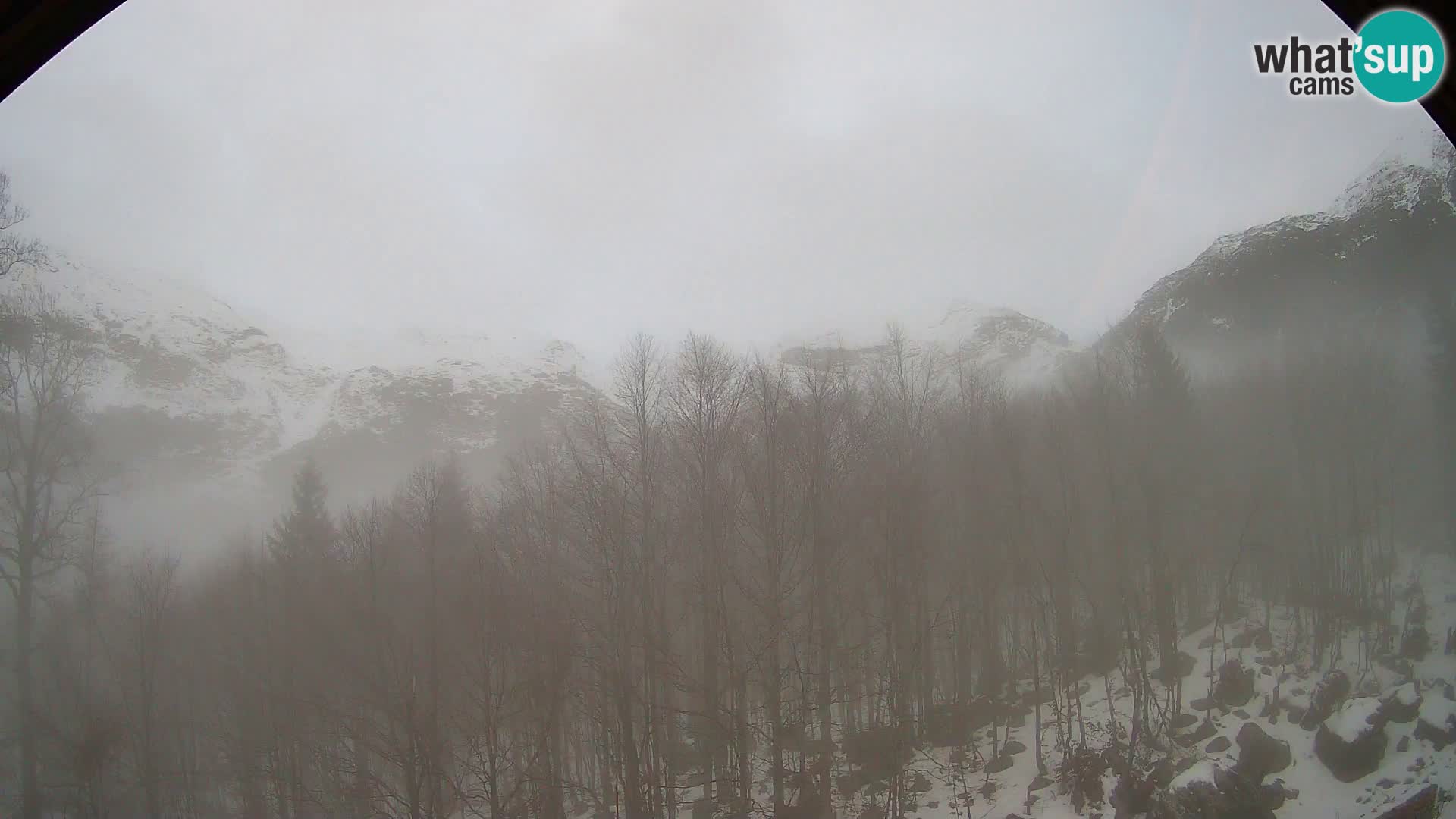 Webcam PLANINA RAZOR (1315) | Blick auf Vogel und Globoko