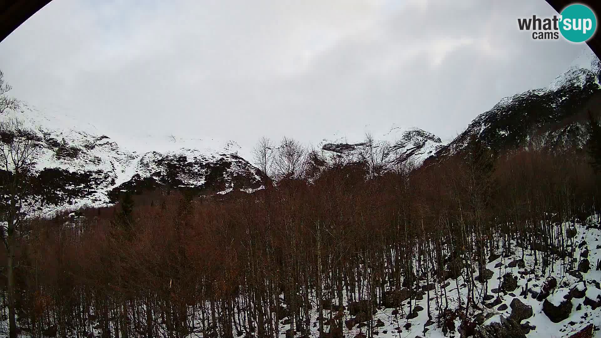 PLANINA RAZOR web kamera (1315) | pogled na Vogel i Globoko