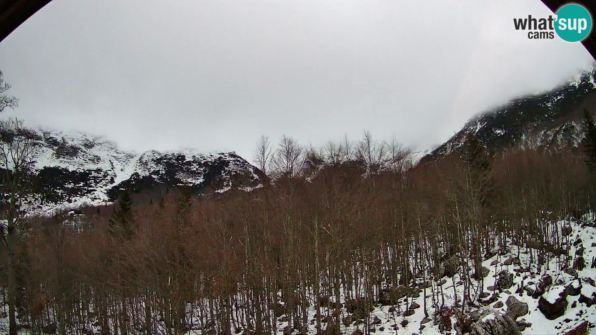 PLANINA RAZOR kamera (1315) | pogled na Vogel in Globoko