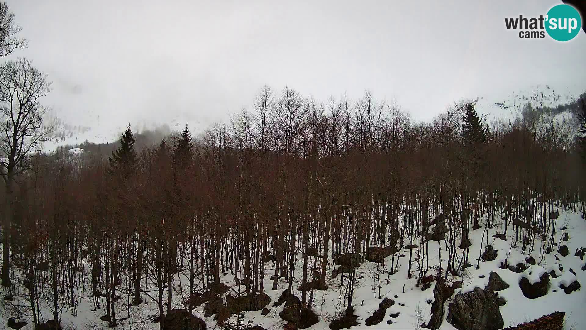 PLANINA RAZOR webcam (1315) | view to Vogel and Globoko