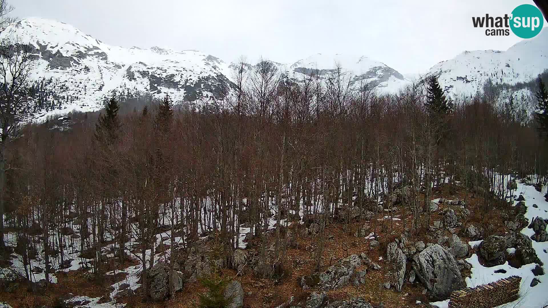 Webcam PLANINA RAZOR (1315) | Blick auf Vogel und Globoko