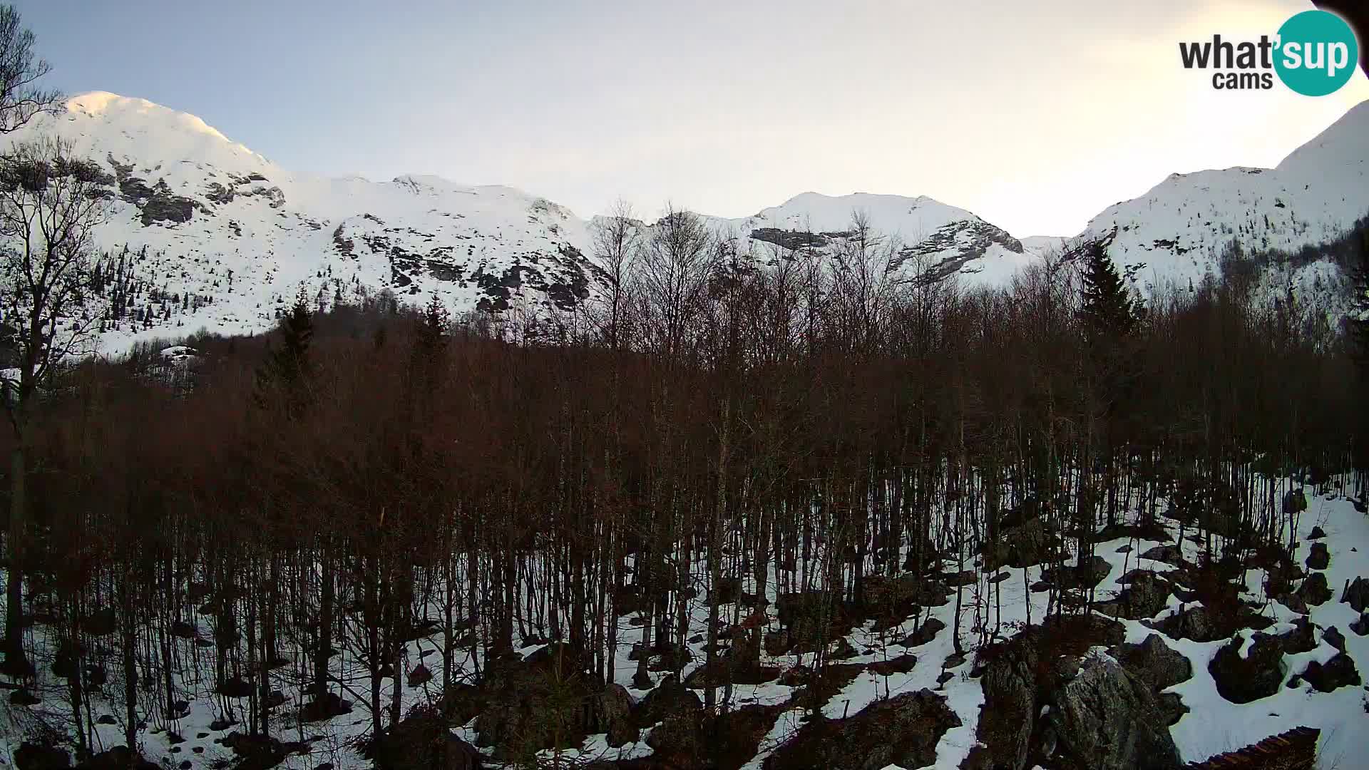 Livecam PLANINA RAZOR (1315) | vue sur Vogel et Globoko