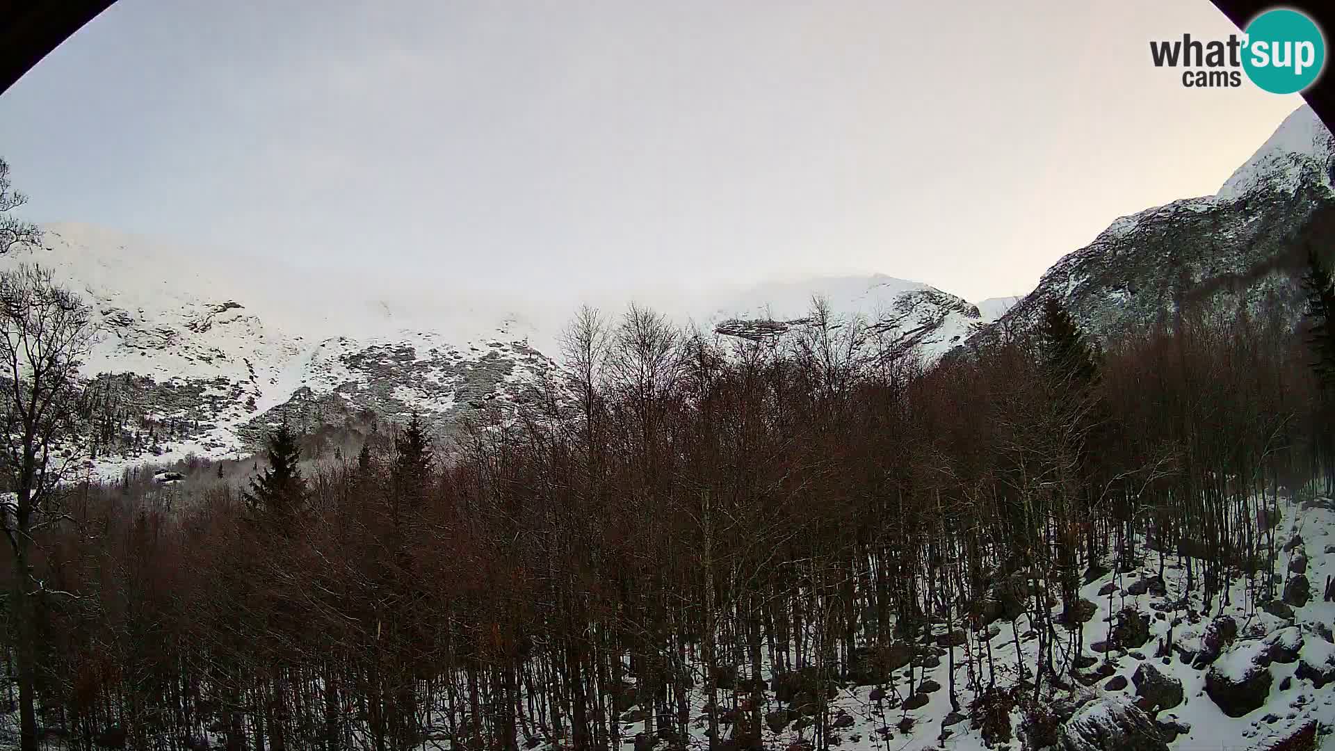 PLANINA RAZOR Live Cam (1315) | vista su Vogel e Globoko