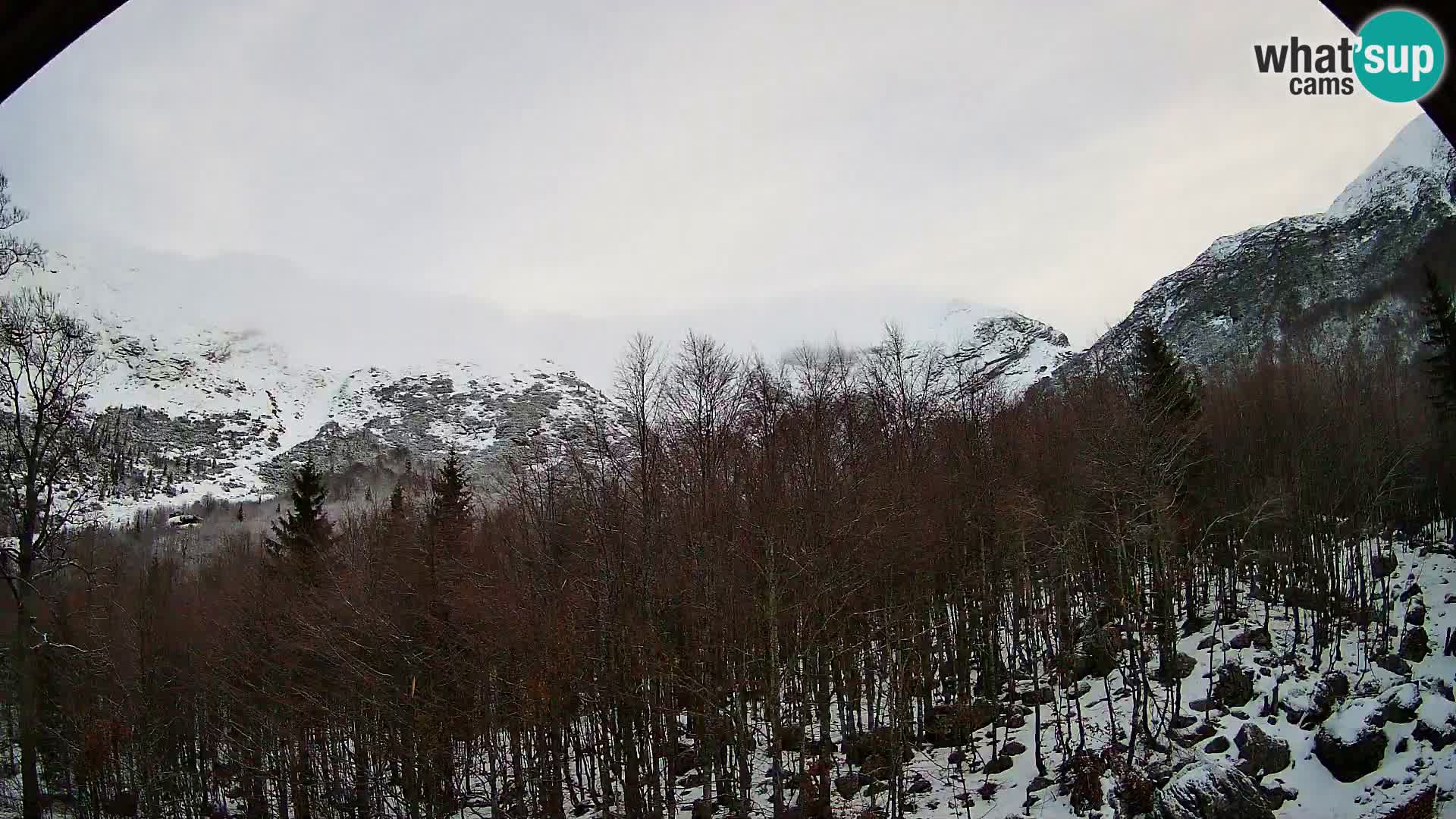 PLANINA RAZOR web kamera (1315) | pogled na Vogel i Globoko