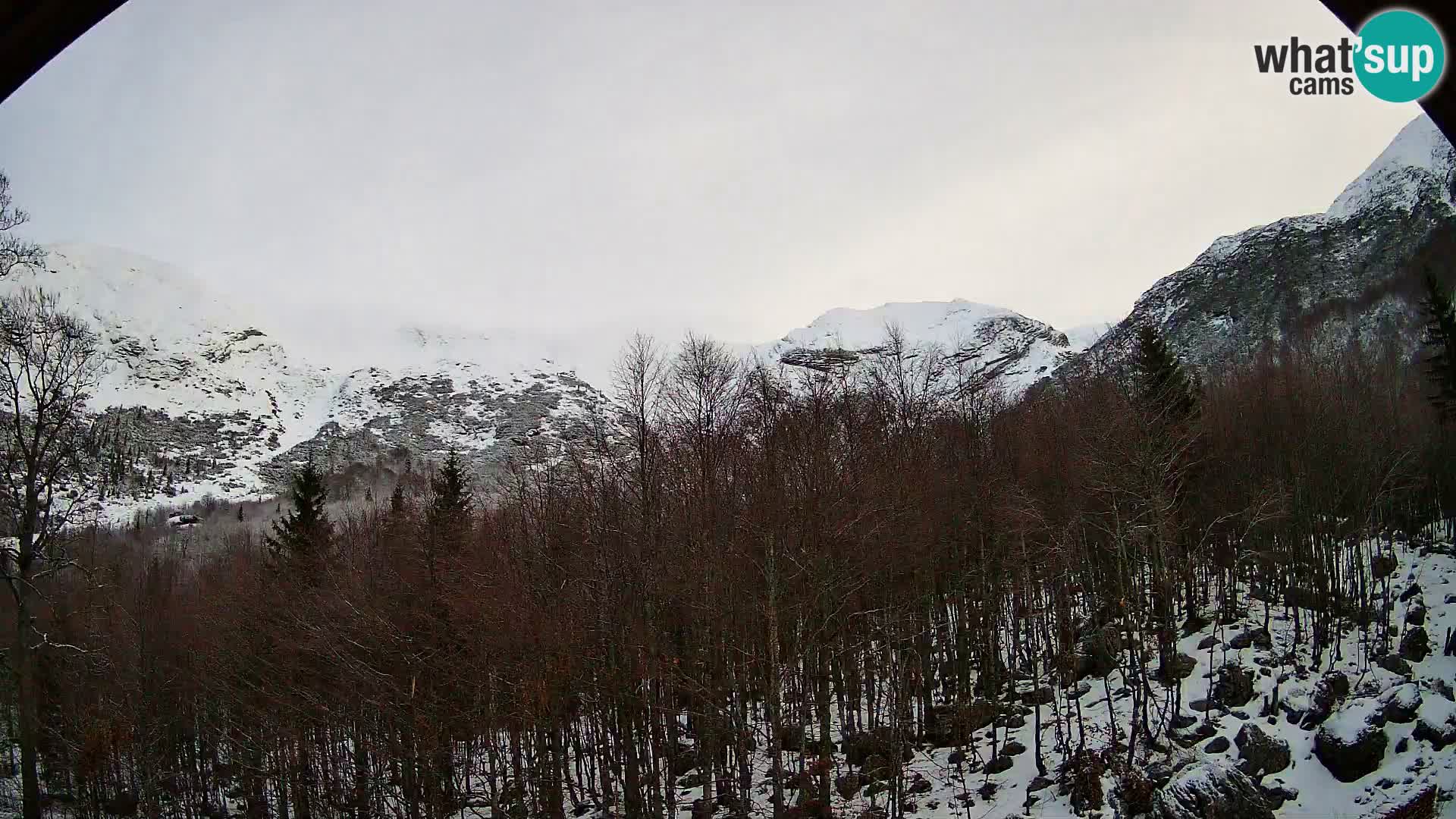 PLANINA RAZOR web kamera (1315) | pogled na Vogel i Globoko