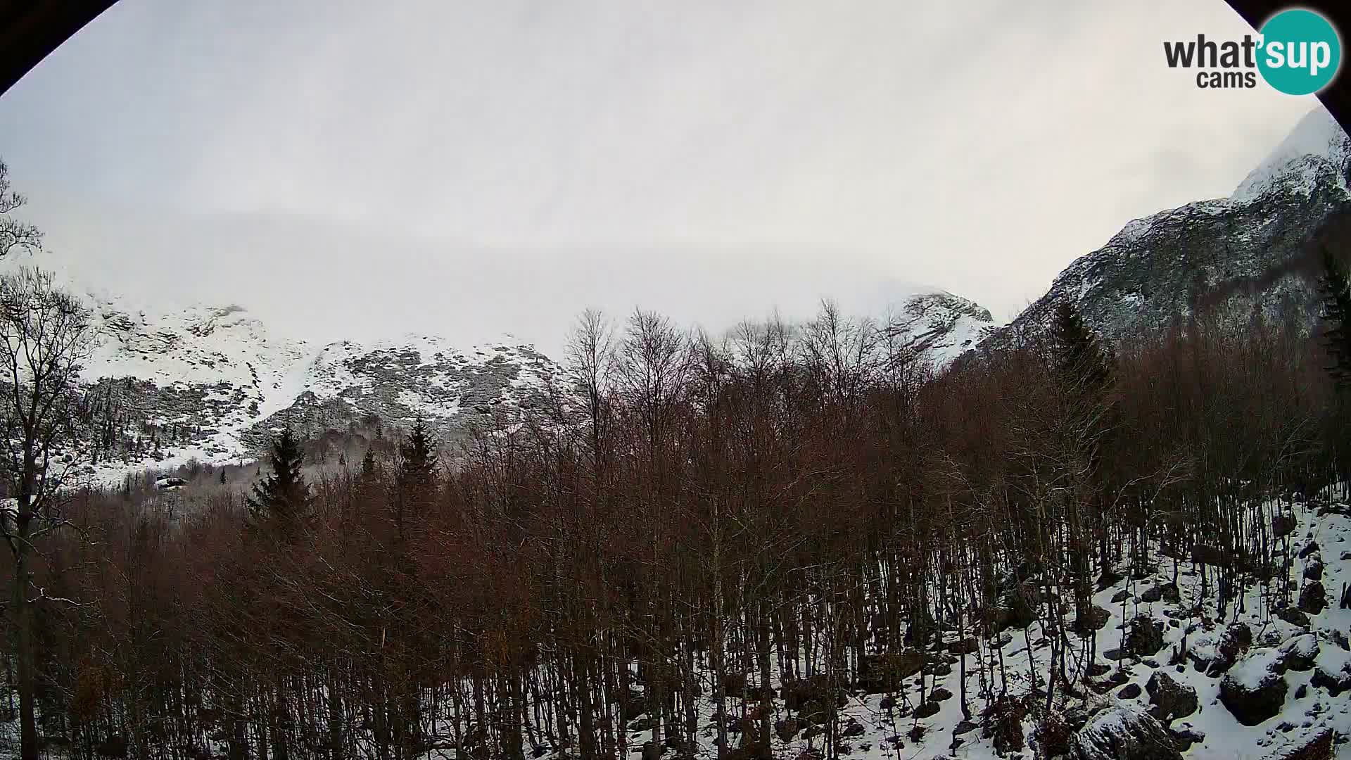 PLANINA RAZOR kamera (1315) | pogled na Vogel in Globoko
