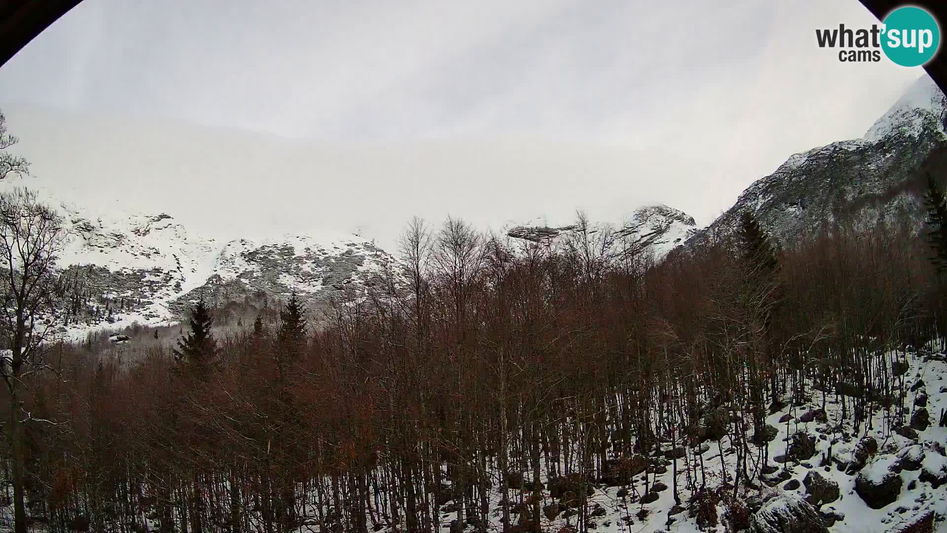 Webcam PLANINA RAZOR (1315) | Blick auf Vogel und Globoko