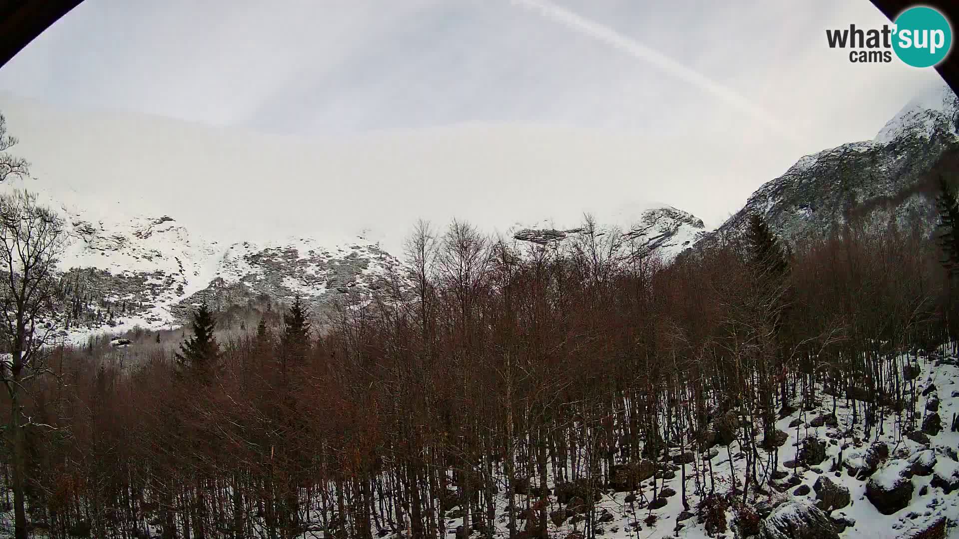 PLANINA RAZOR web kamera (1315) | pogled na Vogel i Globoko