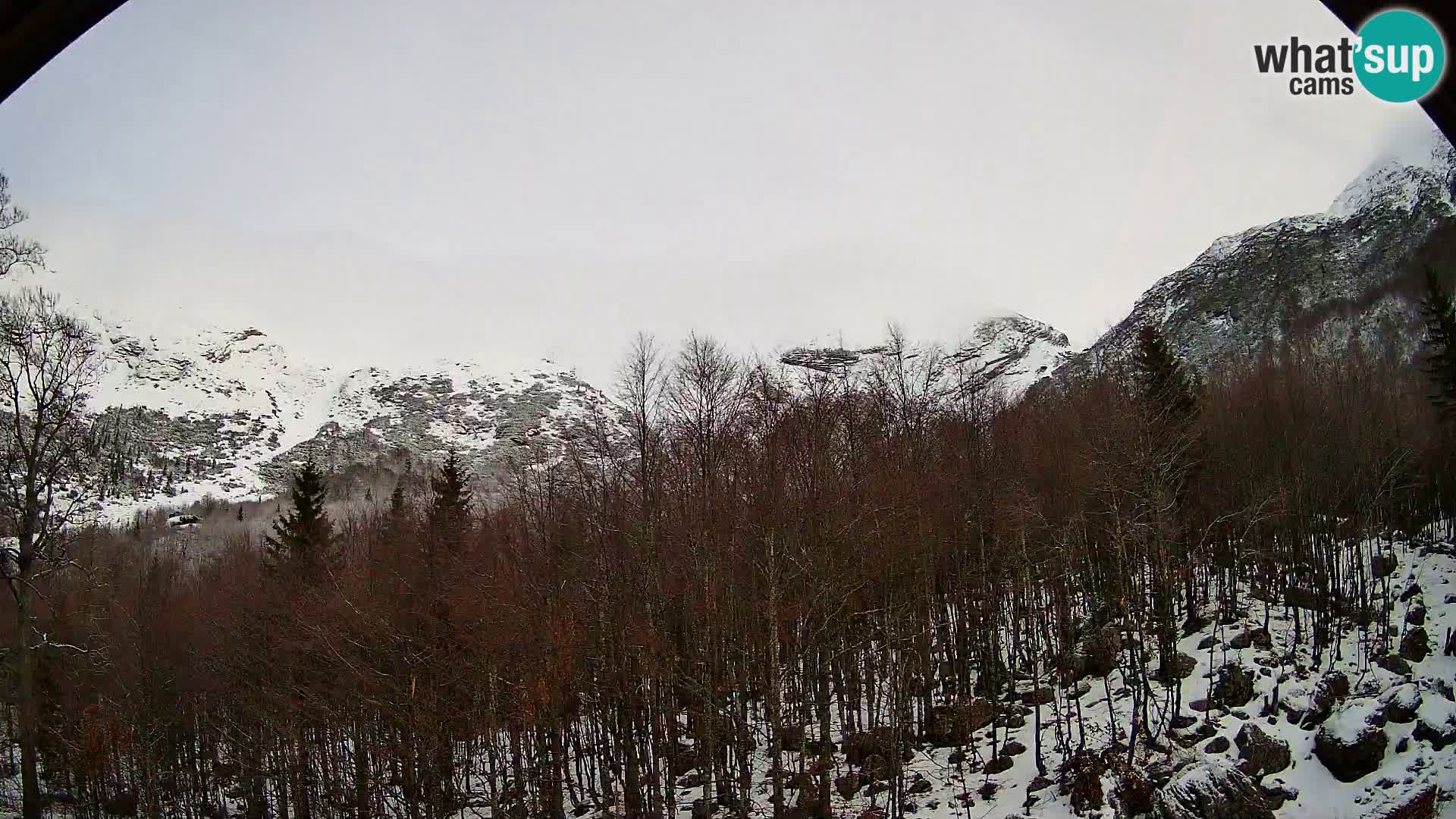 PLANINA RAZOR Live Cam (1315) | vista su Vogel e Globoko
