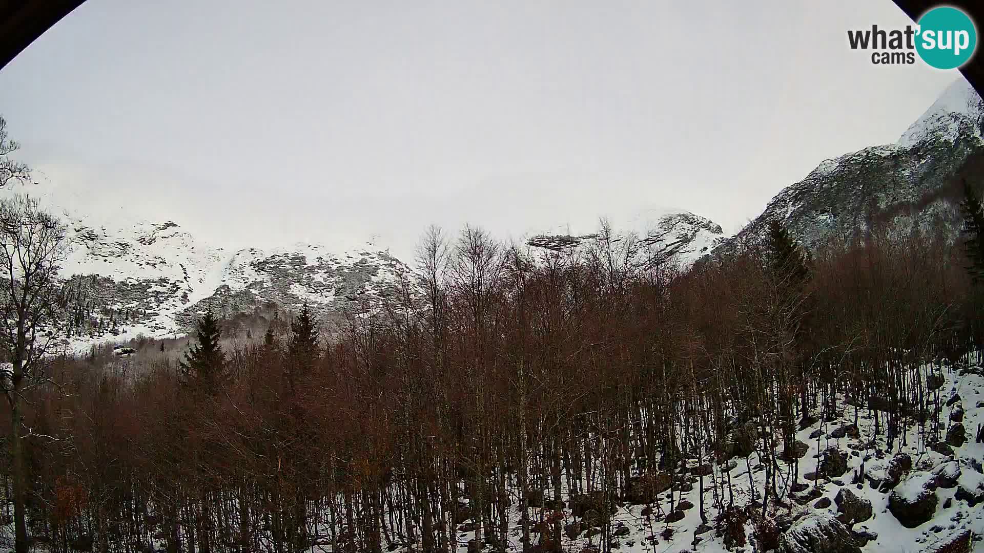 Webcam PLANINA RAZOR (1315) | Blick auf Vogel und Globoko
