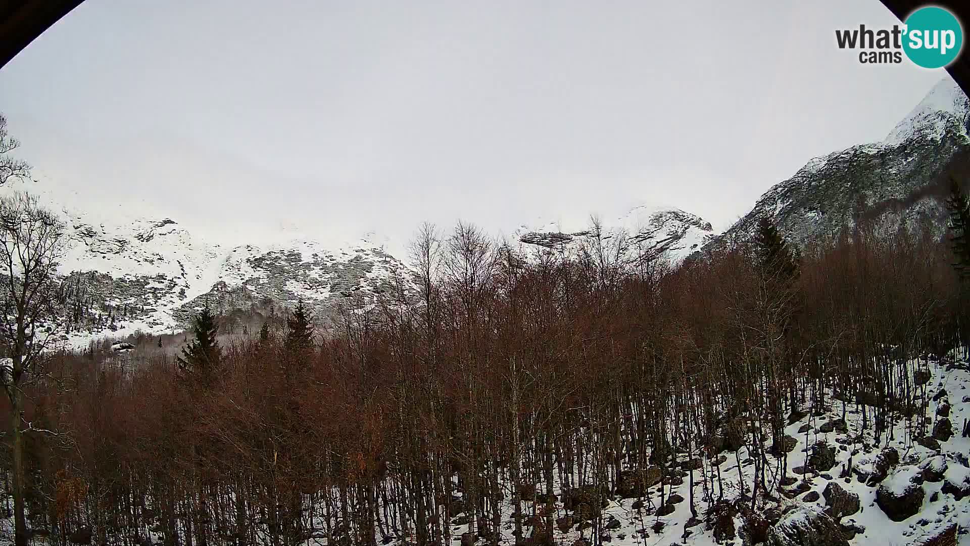 Webcam PLANINA RAZOR (1315) | Blick auf Vogel und Globoko