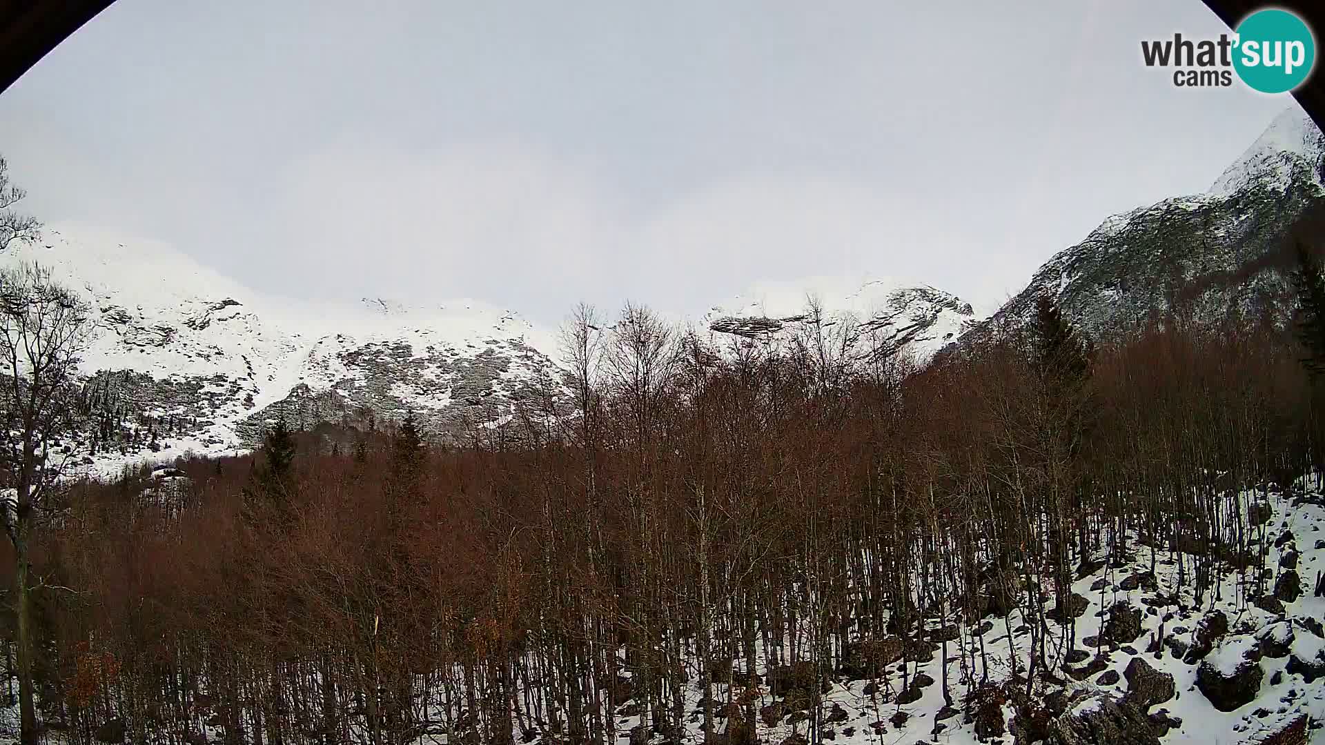PLANINA RAZOR Live Cam (1315) | vista su Vogel e Globoko